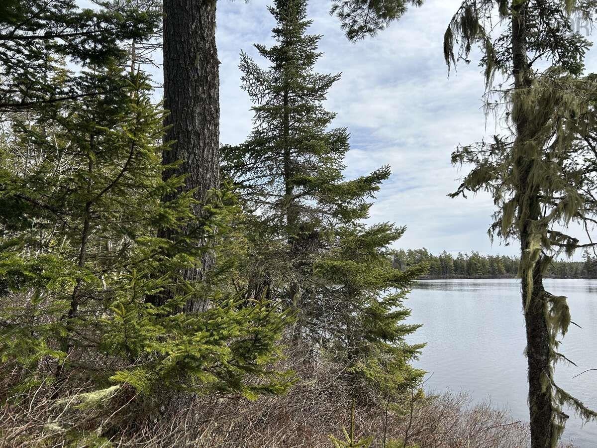 $250,000.00: 11 Lakeside Drive, Aylesford Lake