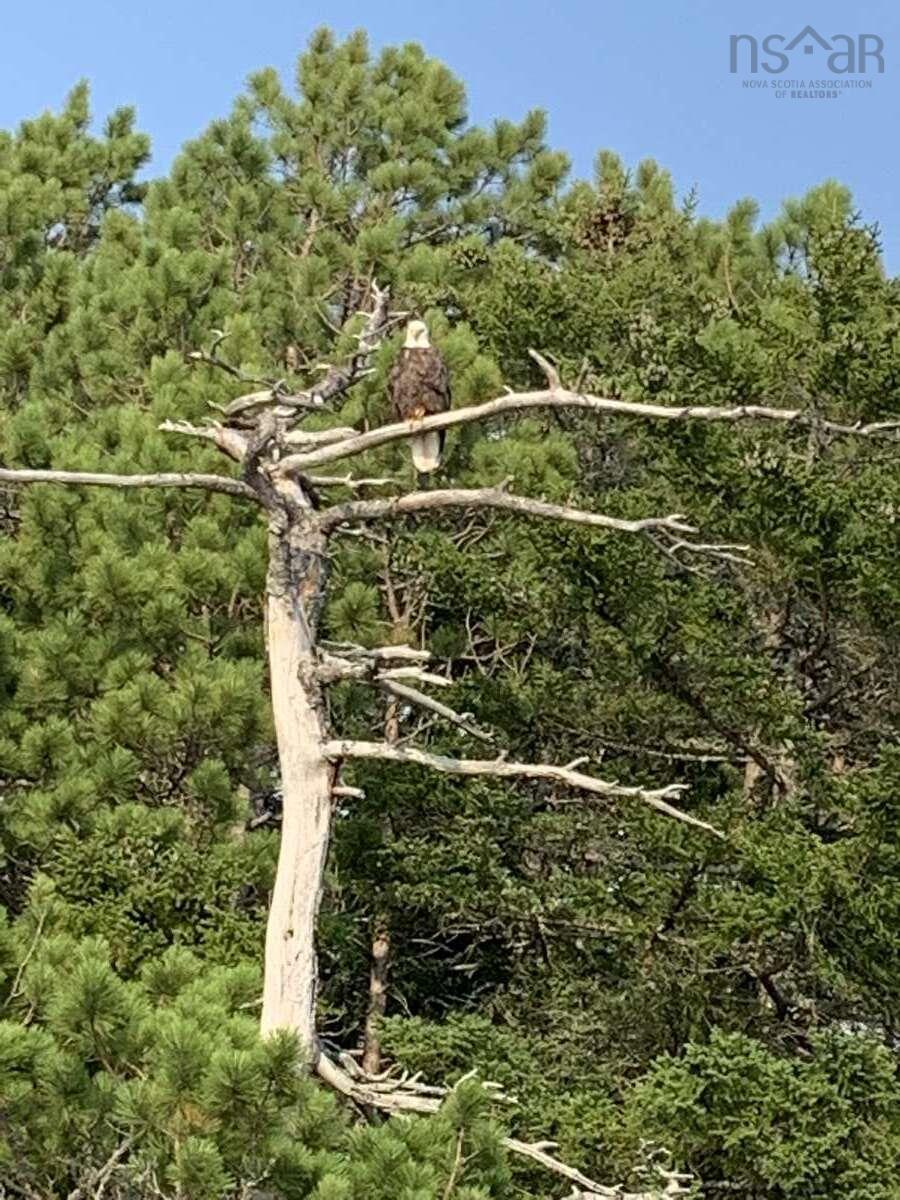 $250,000.00: 11 Lakeside Drive, Aylesford Lake