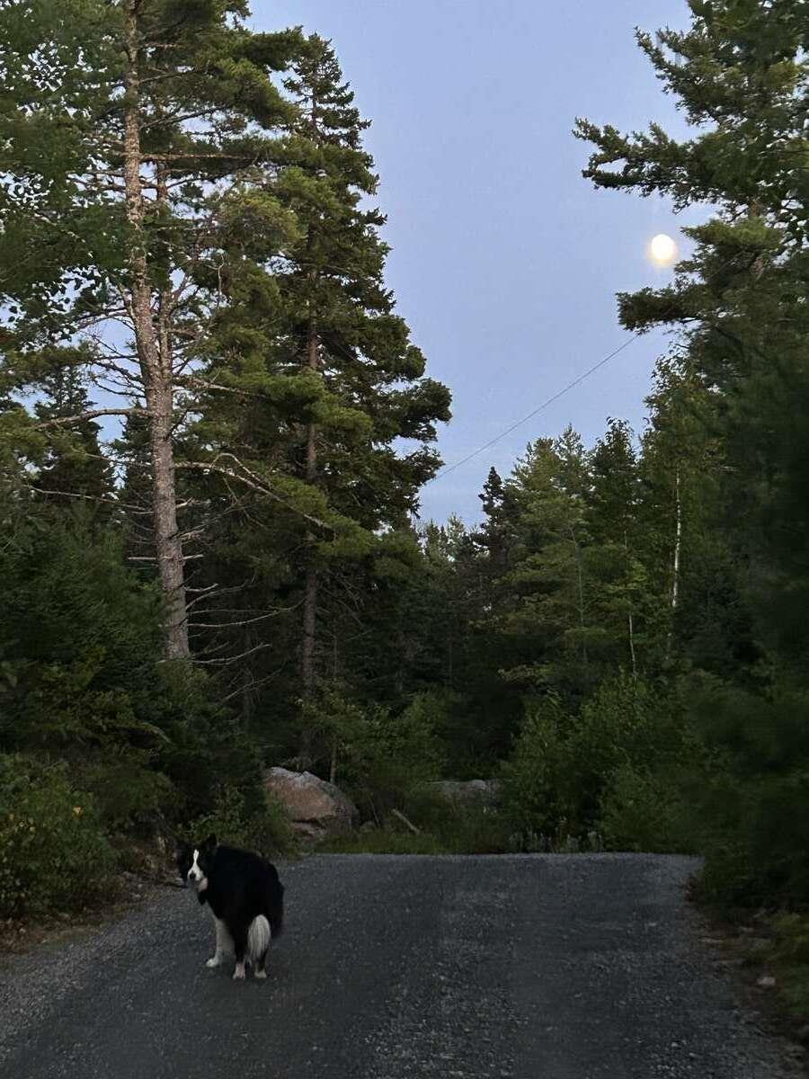 $250,000.00: 11 Lakeside Drive, Aylesford Lake