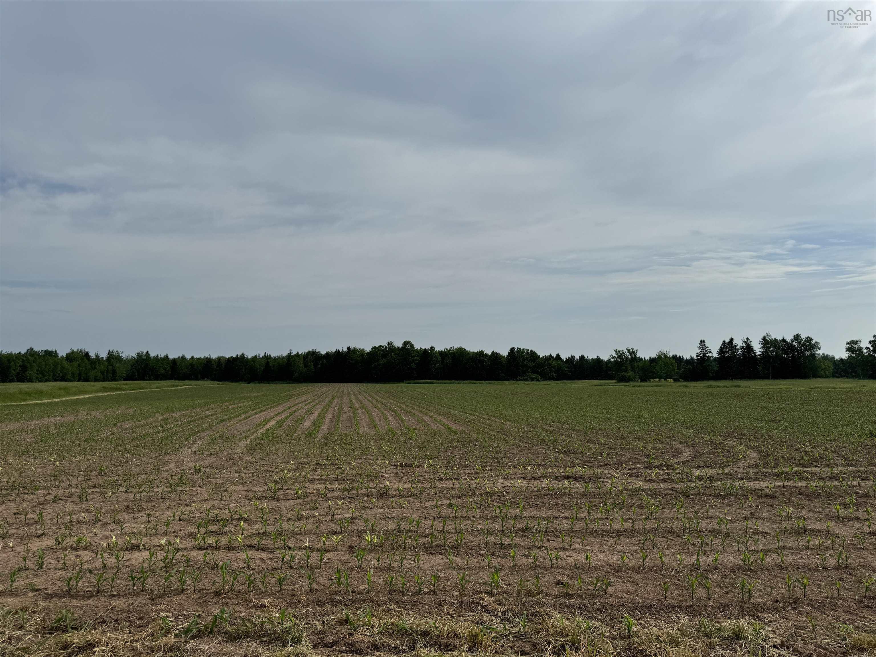 $179,000.00: Scotch Hill Road, Scotch Hill