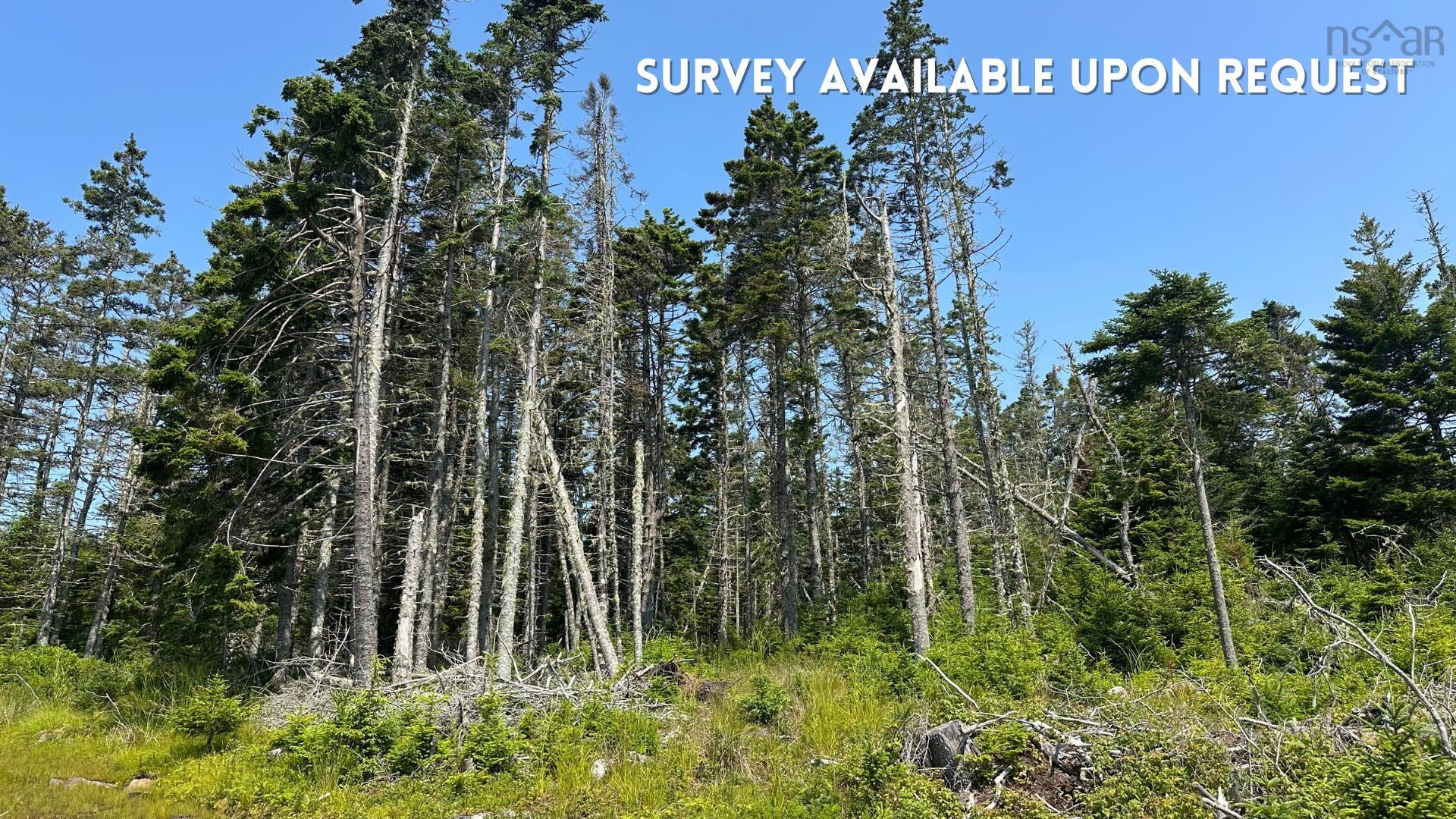 $129,900.00: Lot Upper Kingsburg Road, Upper Kingsburg