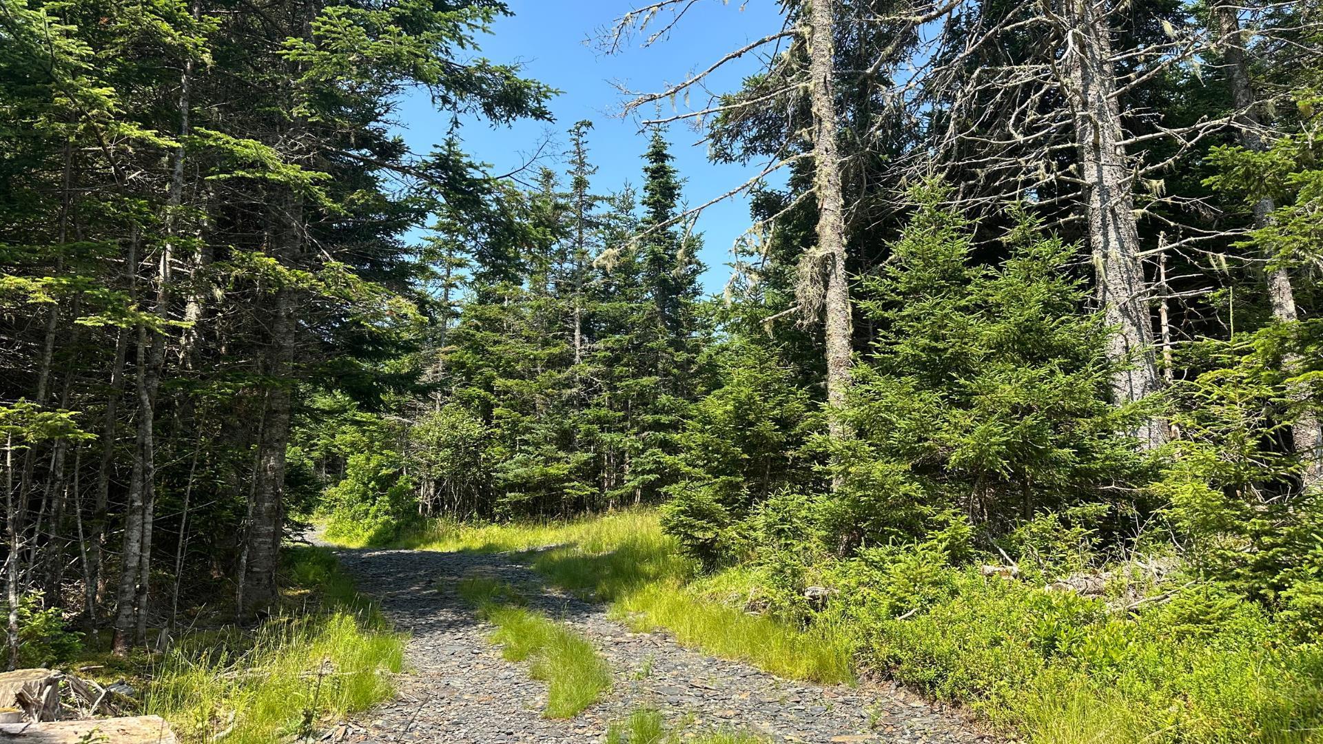 $129,900.00: Lot Upper Kingsburg Road, Upper Kingsburg