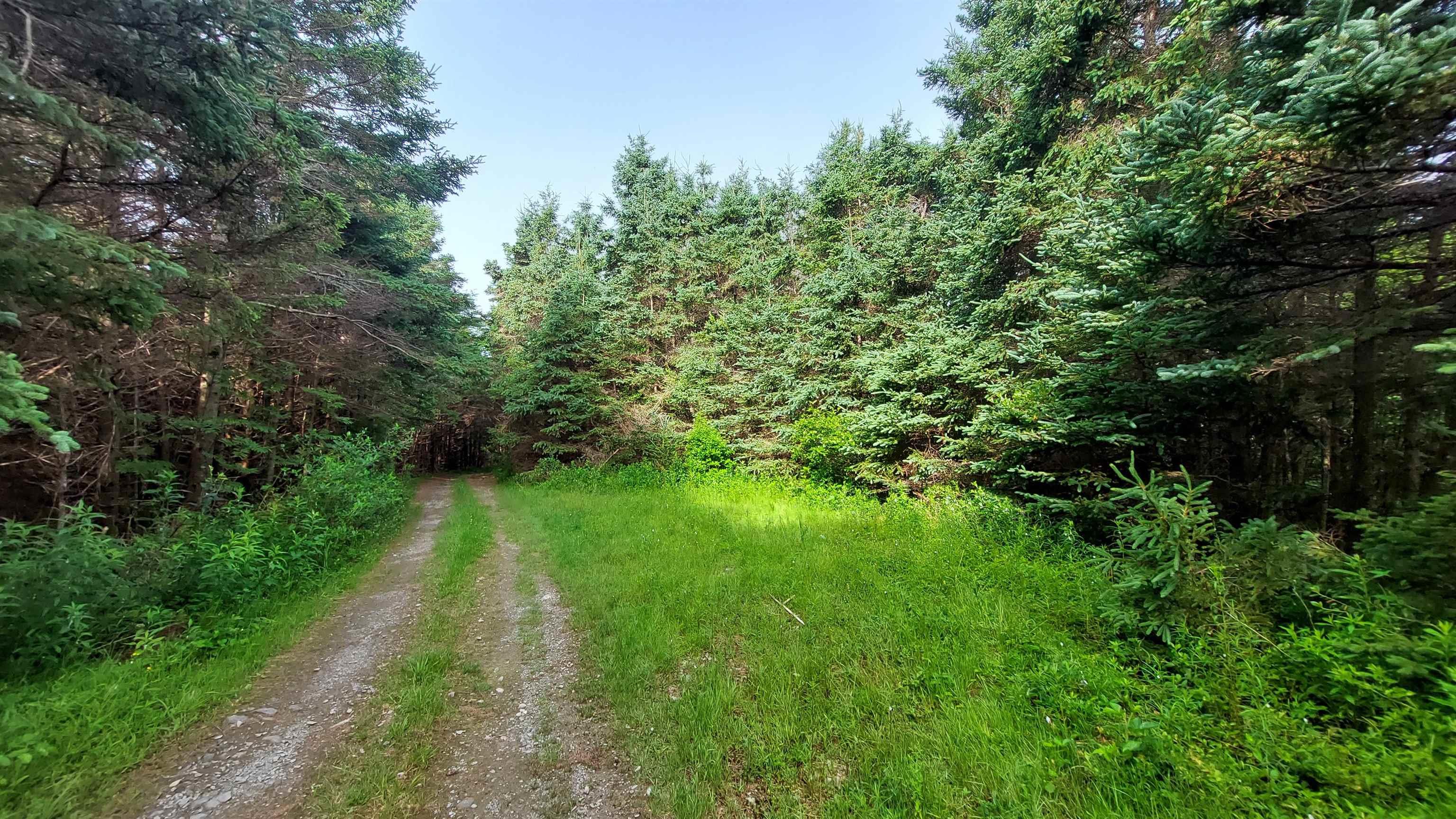 $297,900.00: 26 acre 247 Highway, L