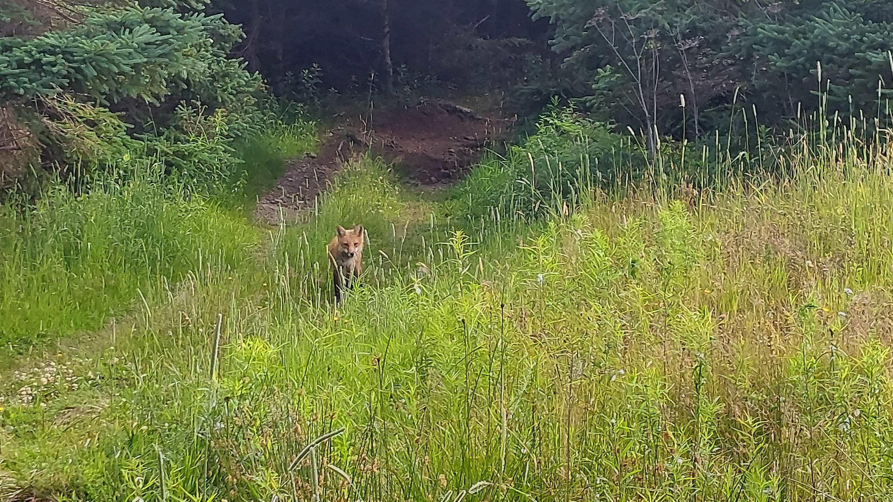 $297,900.00: 26 acre 247 Highway, L