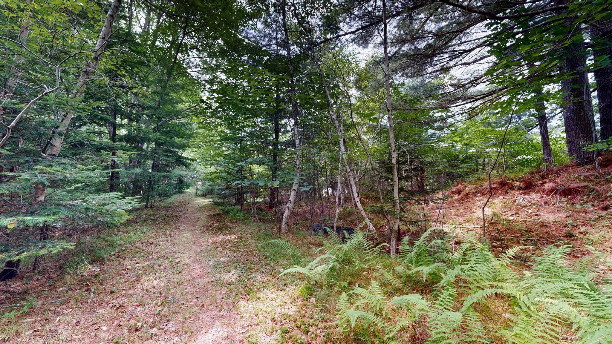 $449,000.00: 523 Mill Village East Road, Charleston