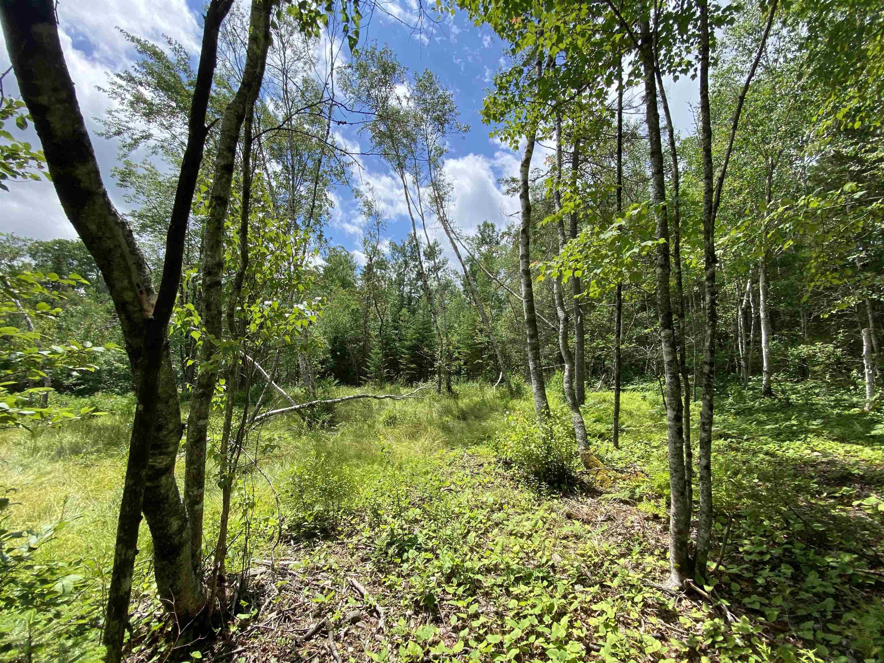 $120,000.00: Bon Way Drive, Enfield