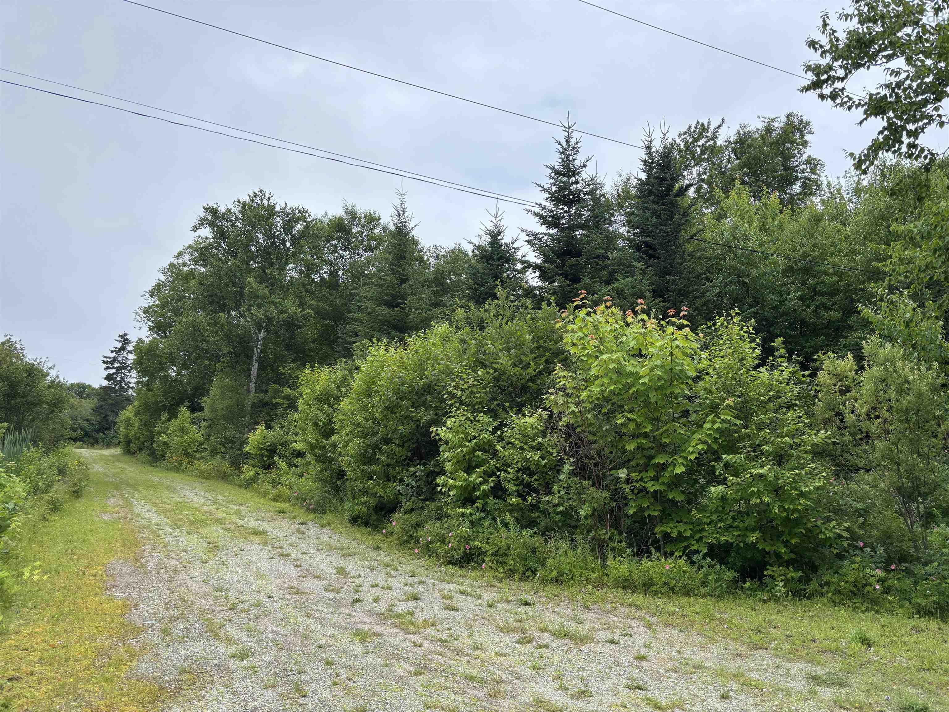 $75,000.00: 15 Lot 15 Aden Lane, Big Pond Centre