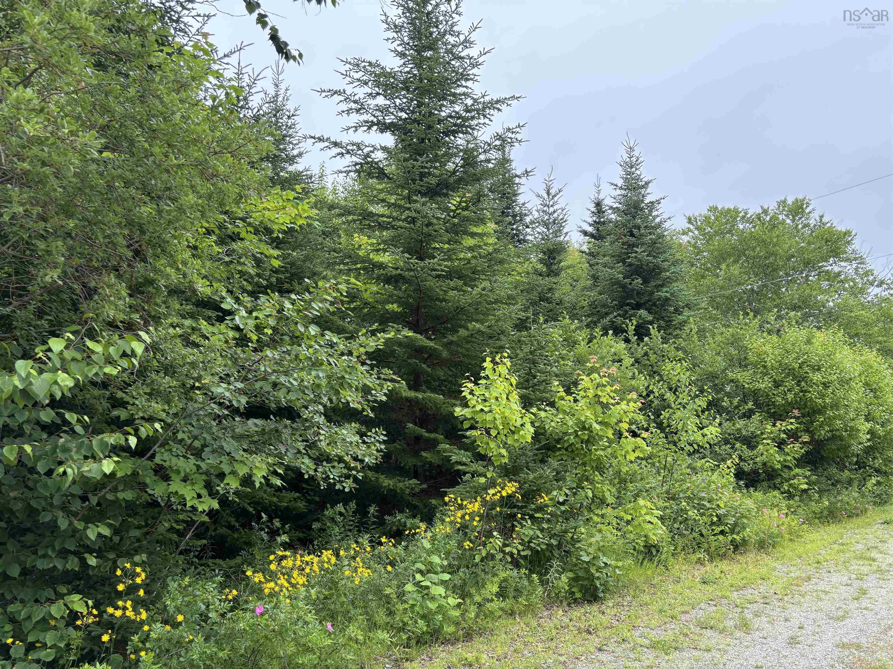 $75,000.00: 15 Lot 15 Aden Lane, Big Pond Centre