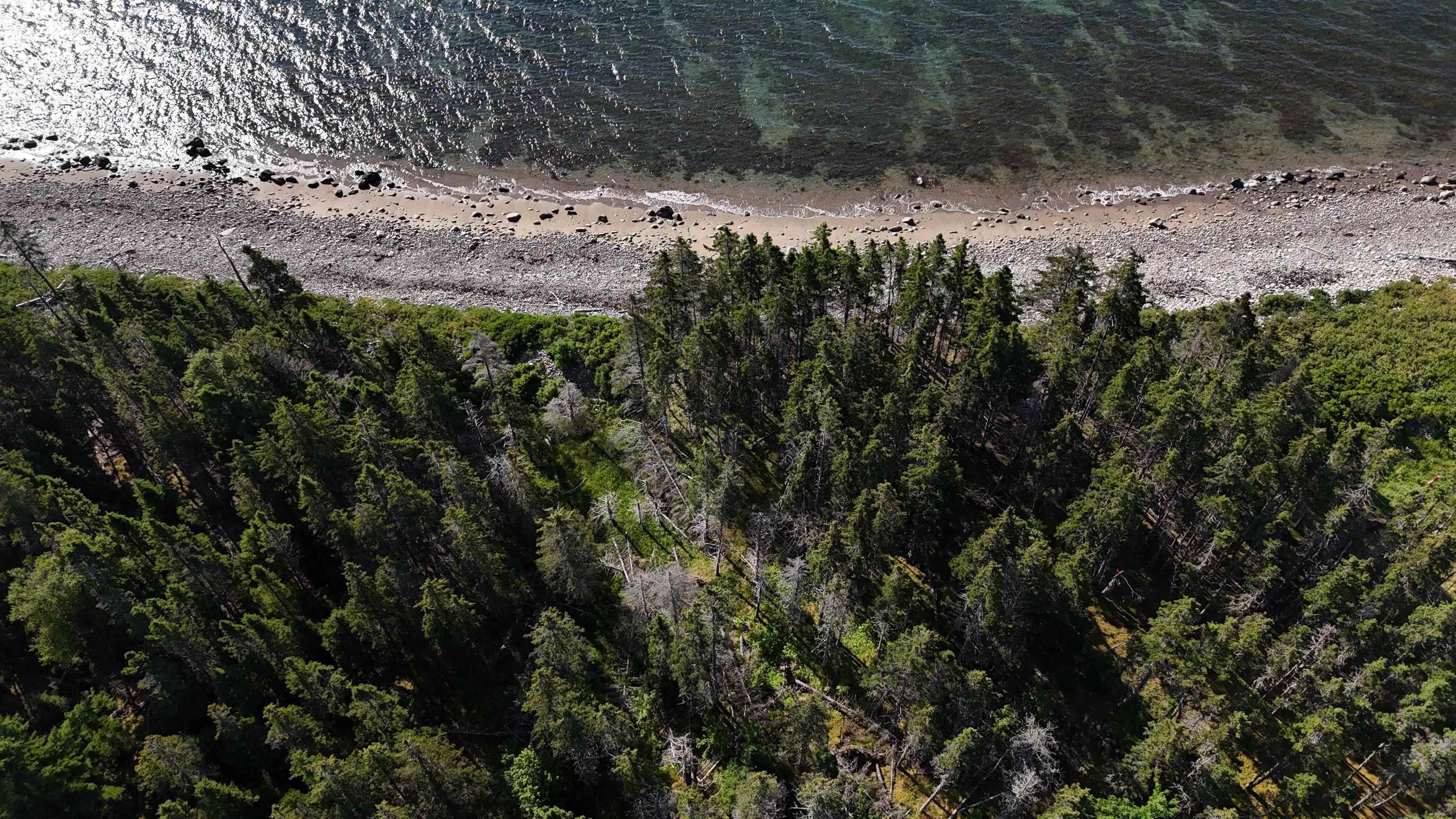 $135,000.00: Cabot Trail, Indian Brook