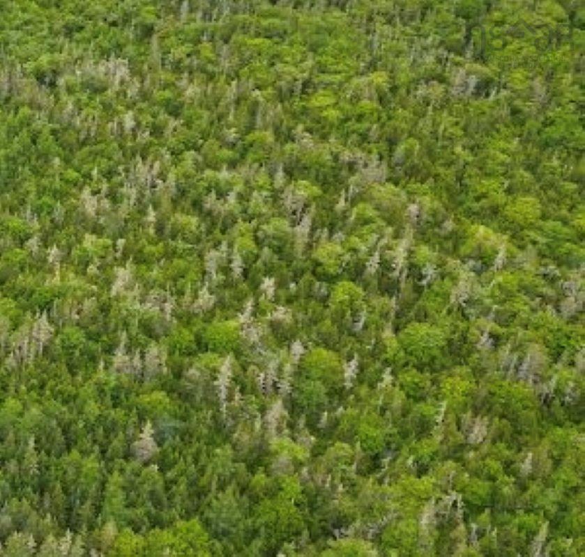 $180,000.00: Lot Rockland Road, Rockland