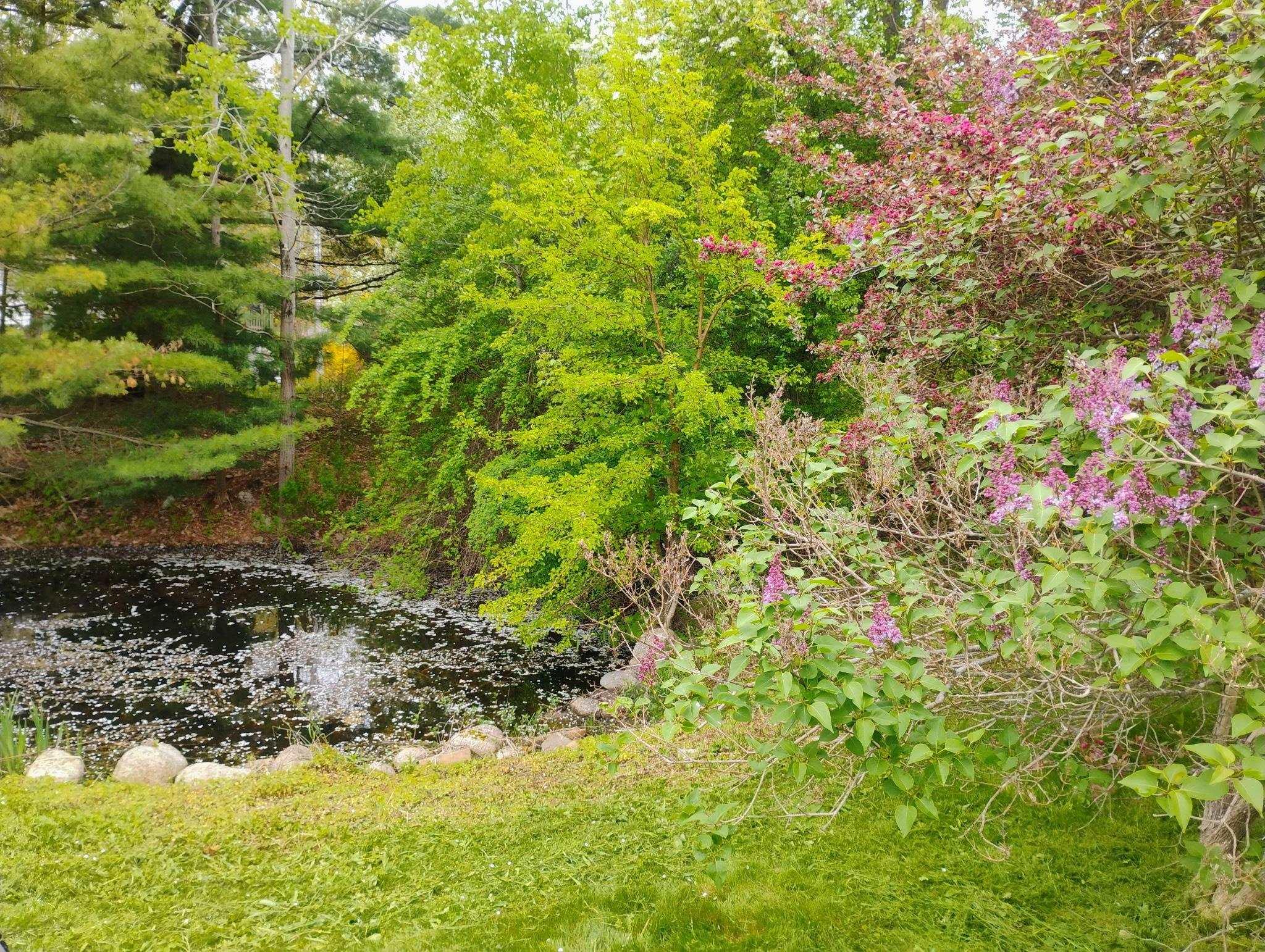 $599,000.00: 6672 Highway 332, Upper Lahave