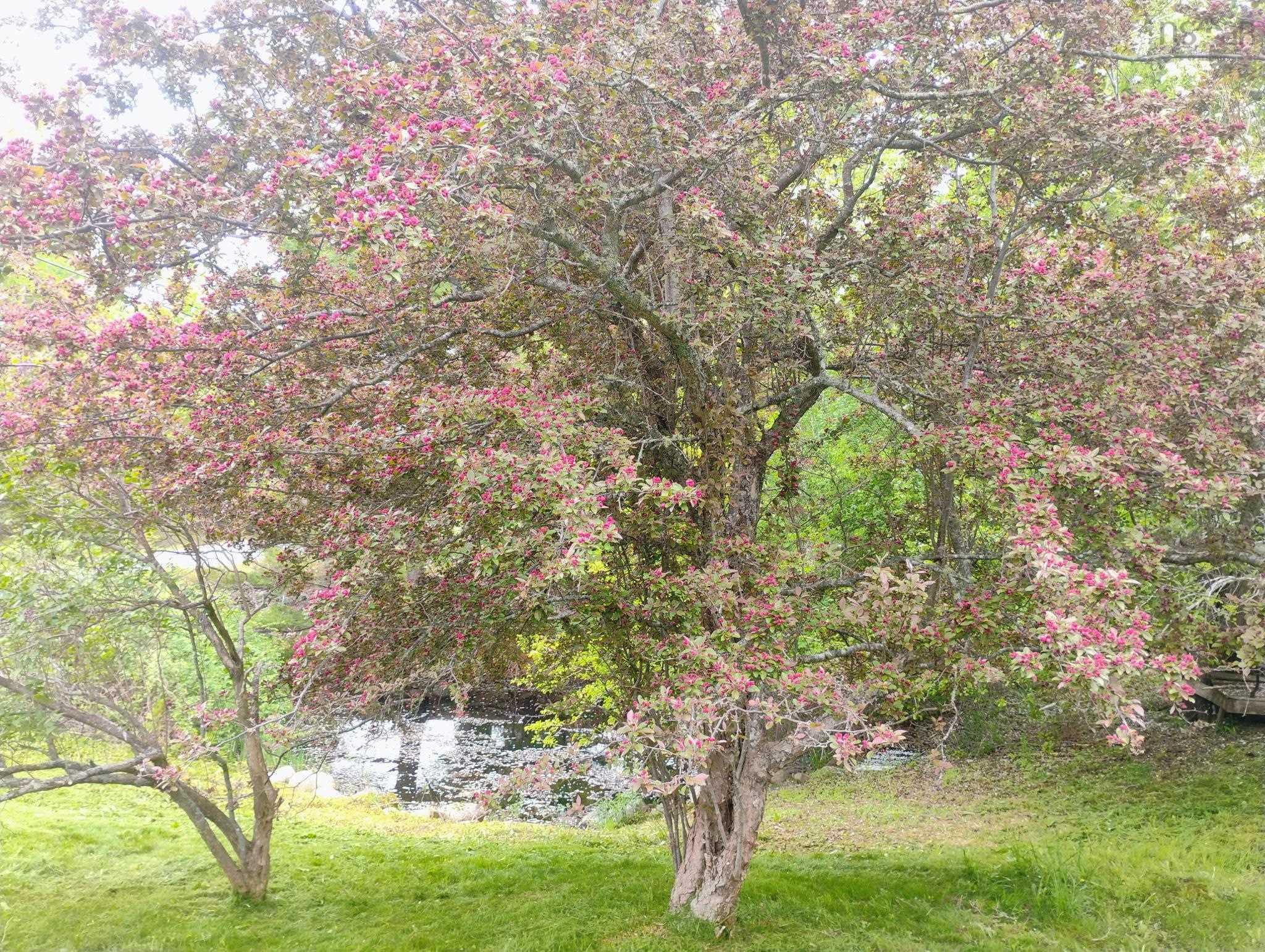 $599,000.00: 6672 Highway 332, Upper Lahave