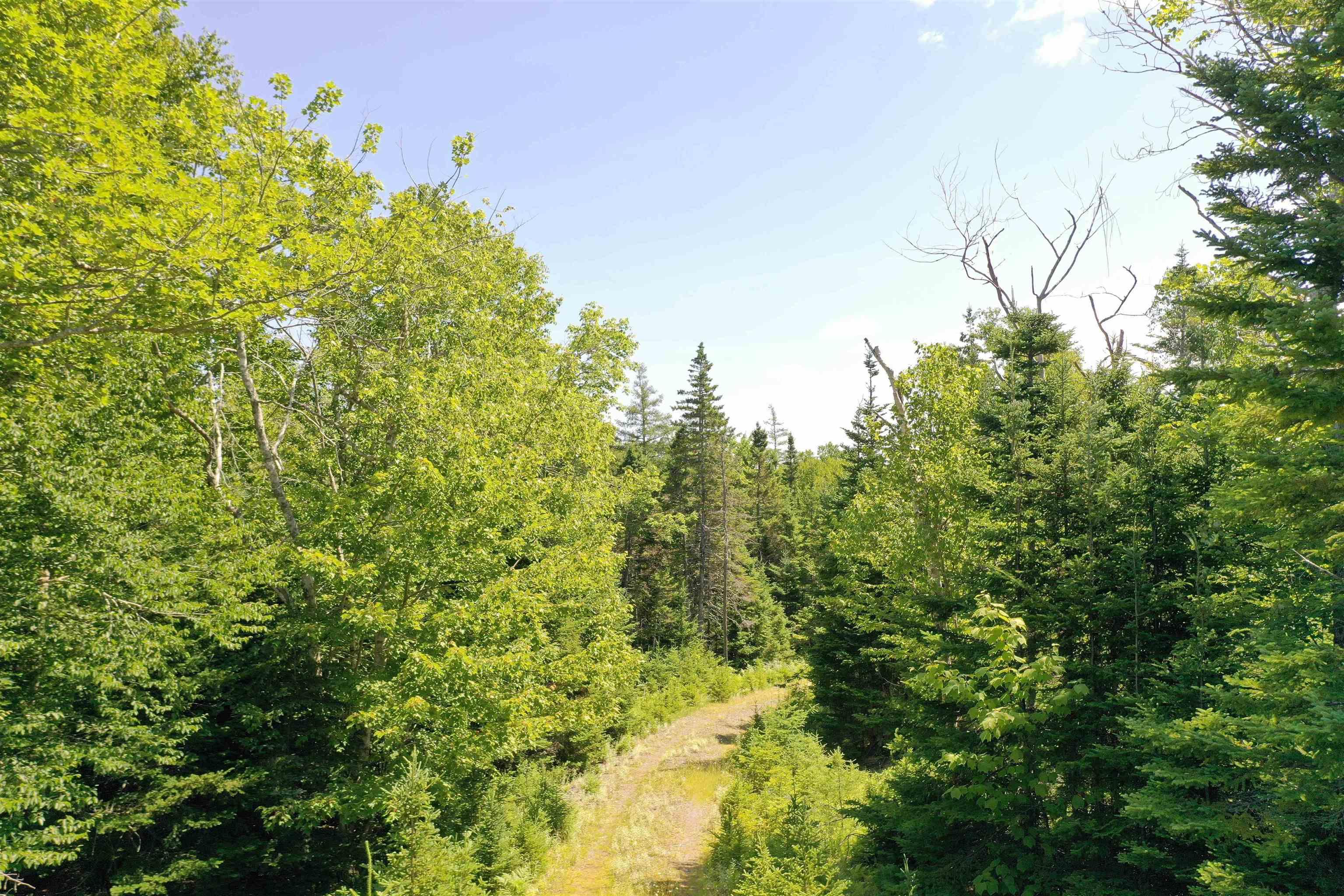 $134,900.00: Lot 1A-24 Maple Drive, Cape George Estates