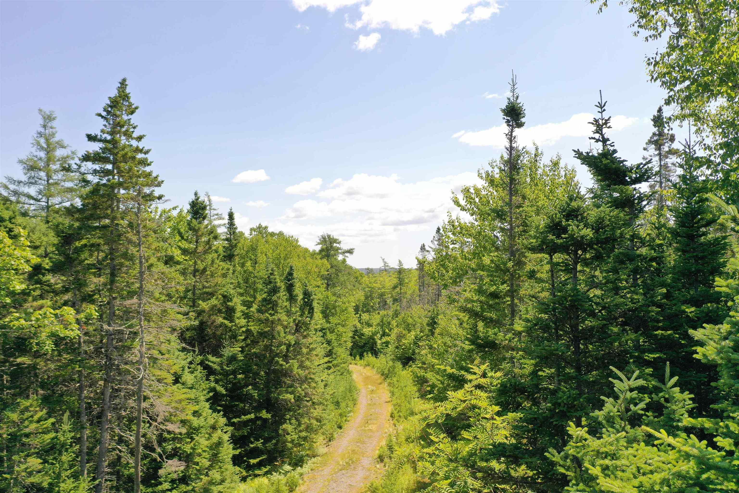 $134,900.00: Lot 1A-24 Maple Drive, Cape George Estates