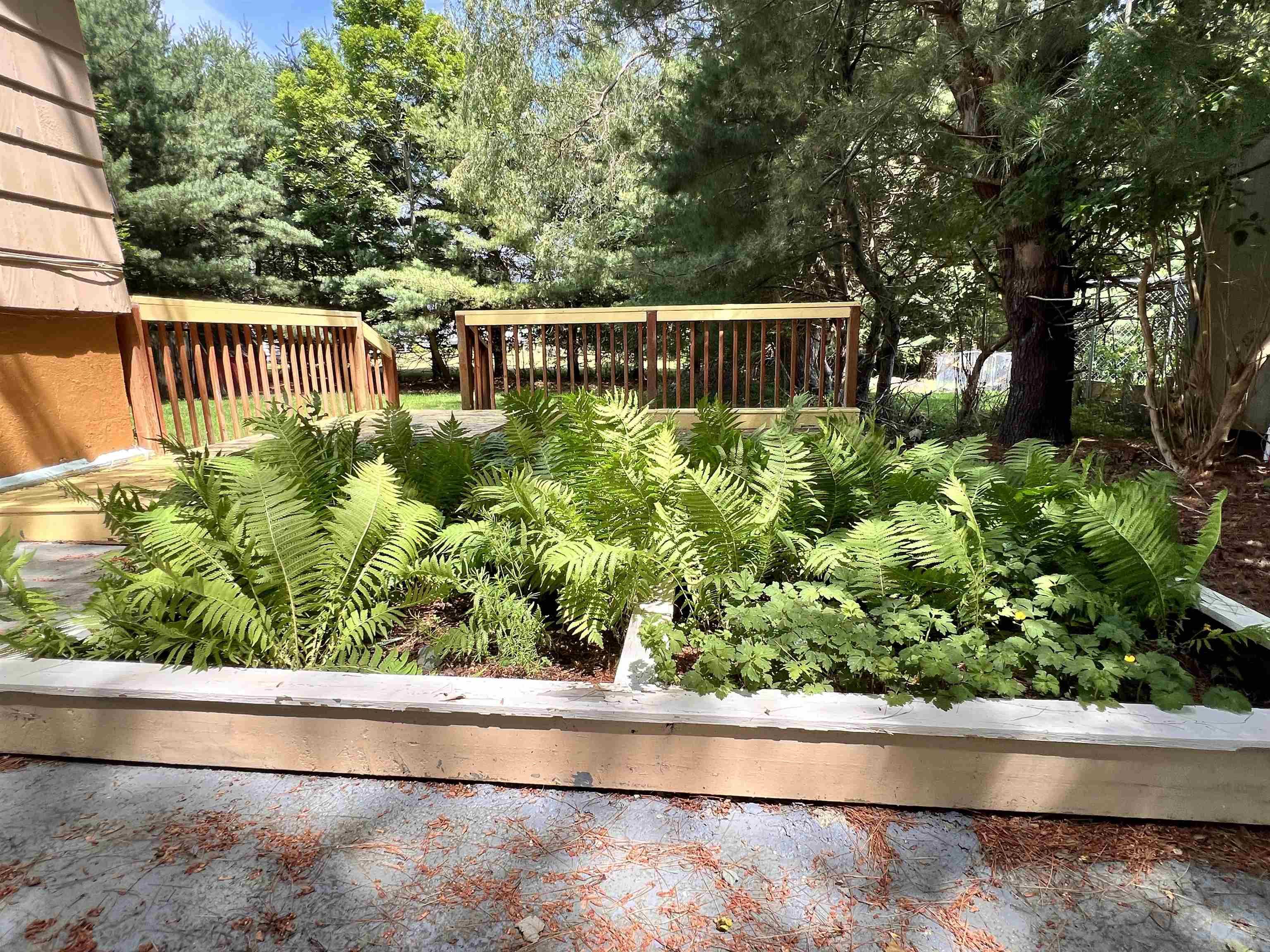 $235,000.00: 190 Mowatt Street, Shelburne