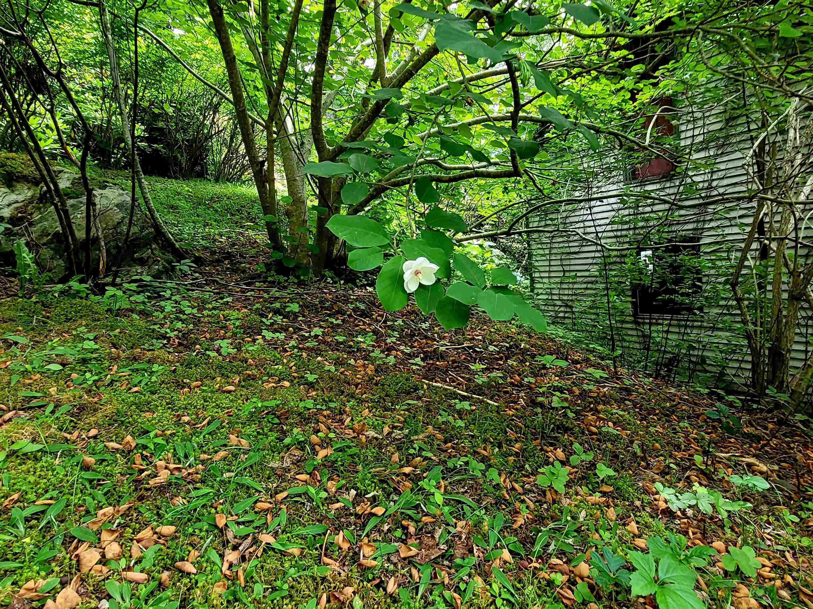 $429,000.00: 221 Highway 8, Milton