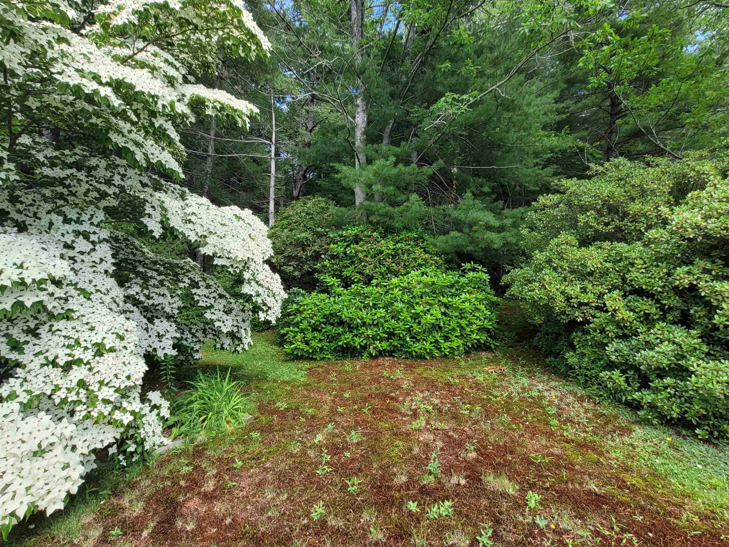 $429,000.00: 221 Highway 8, Milton