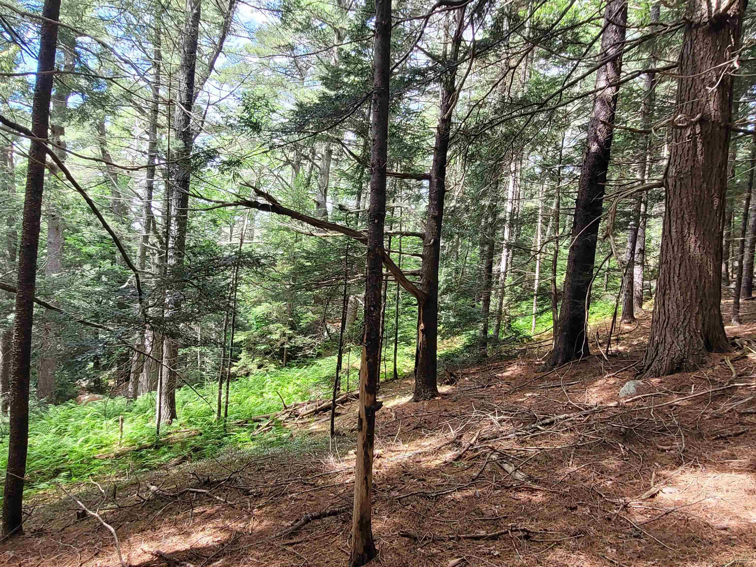 $429,000.00: 221 Highway 8, Milton