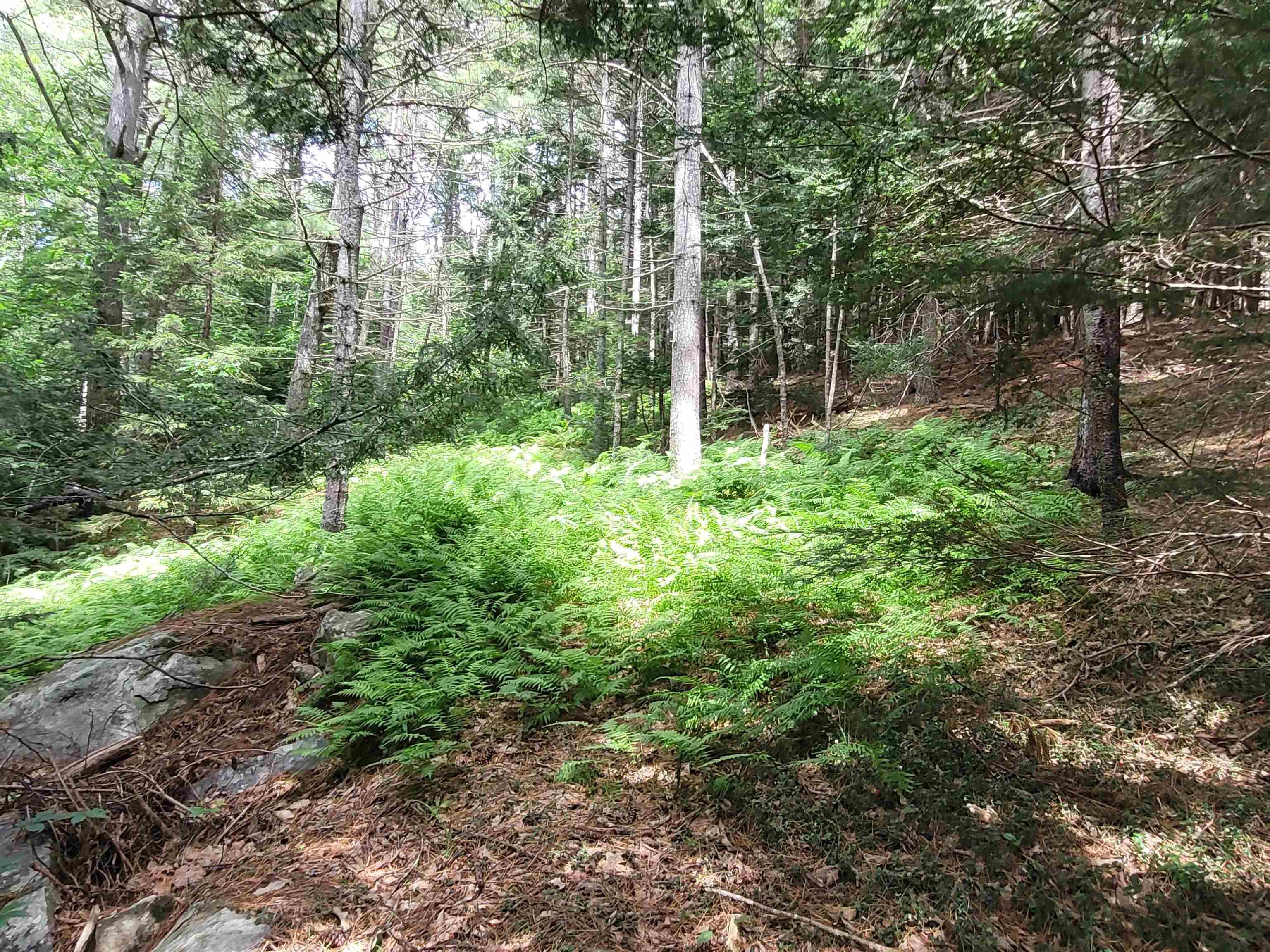 $429,000.00: 221 Highway 8, Milton