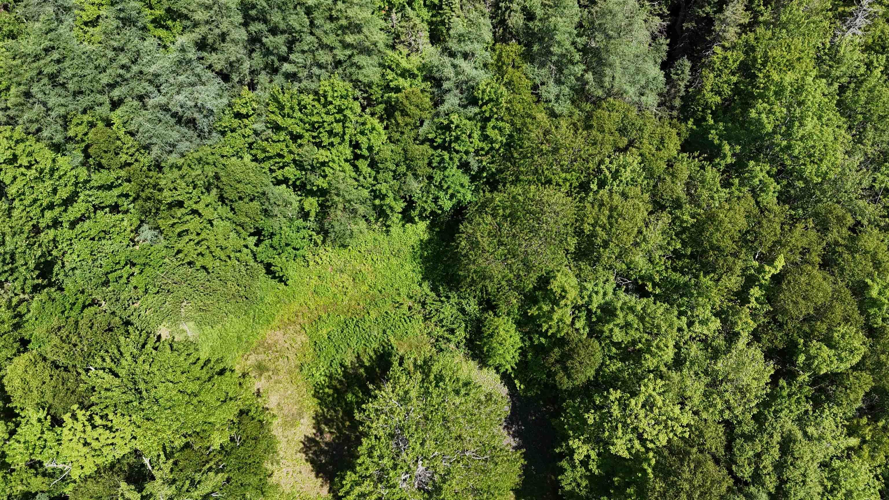 $29,900.00: 2011 Whiteside Road, Whiteside