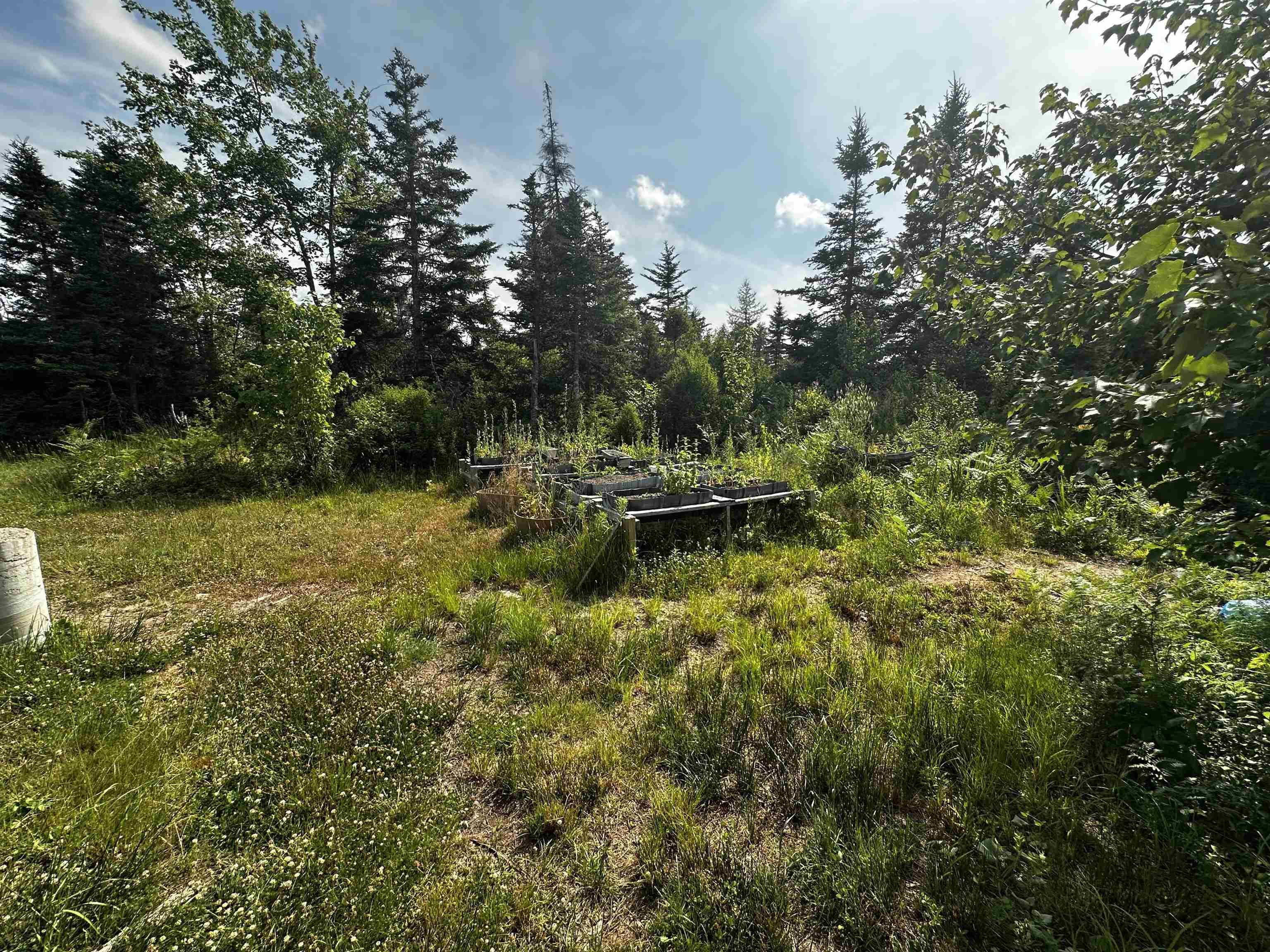 $179,000.00: 236 Cameron Road, Orangedale