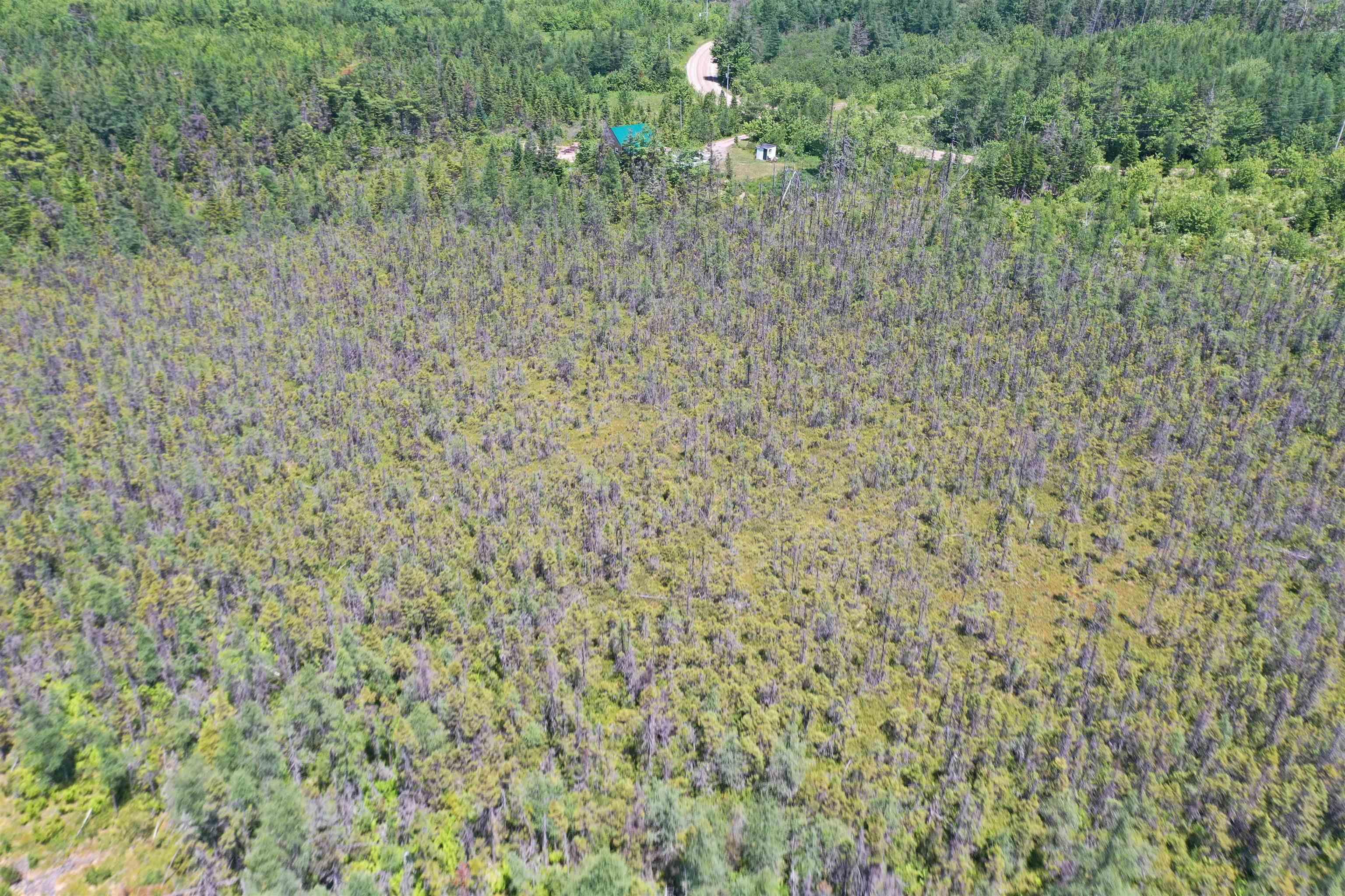 $179,000.00: 236 Cameron Road, Orangedale