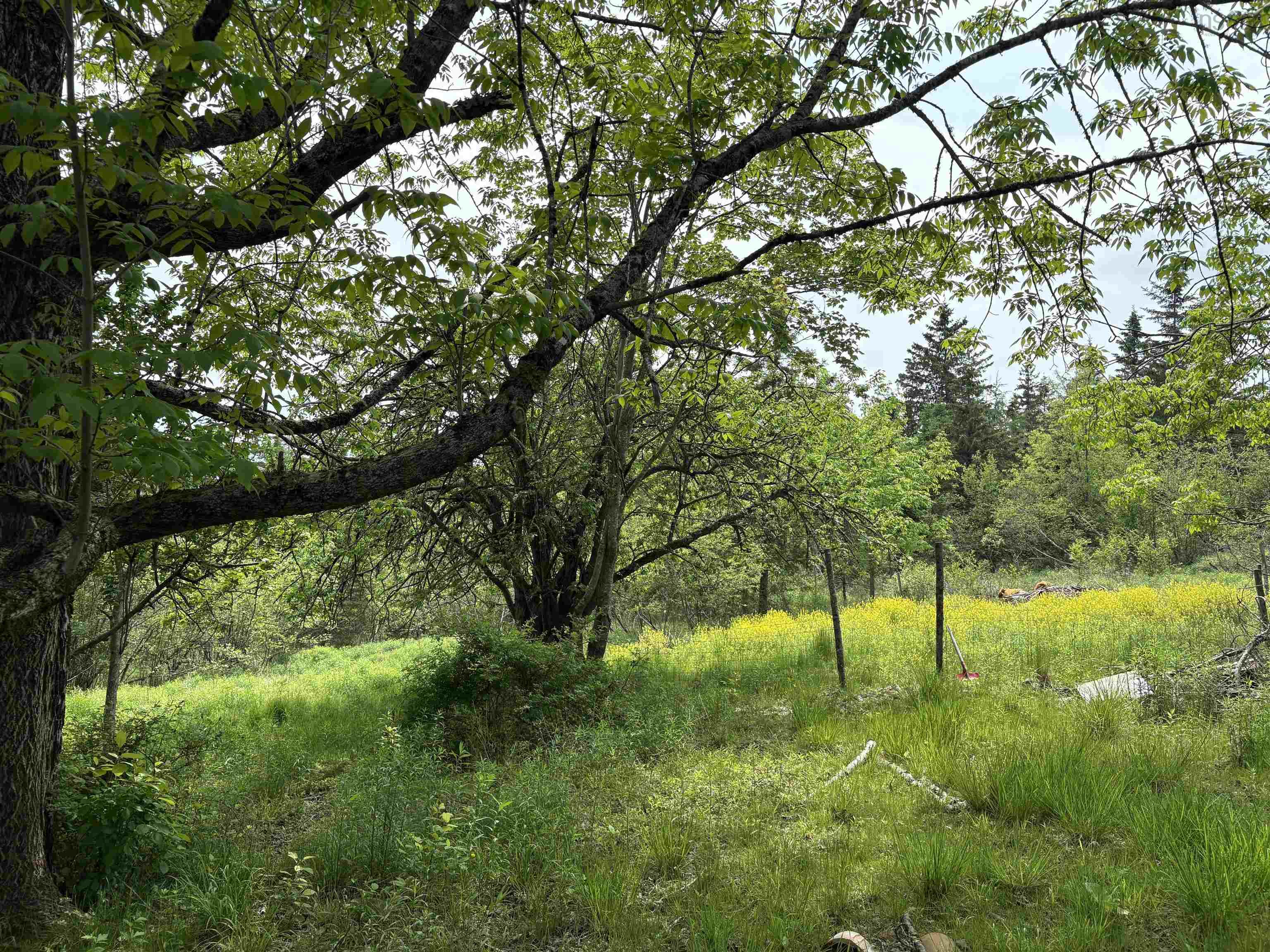 $209,900.00: 14422 HWY 224 Road, Cooks Brook