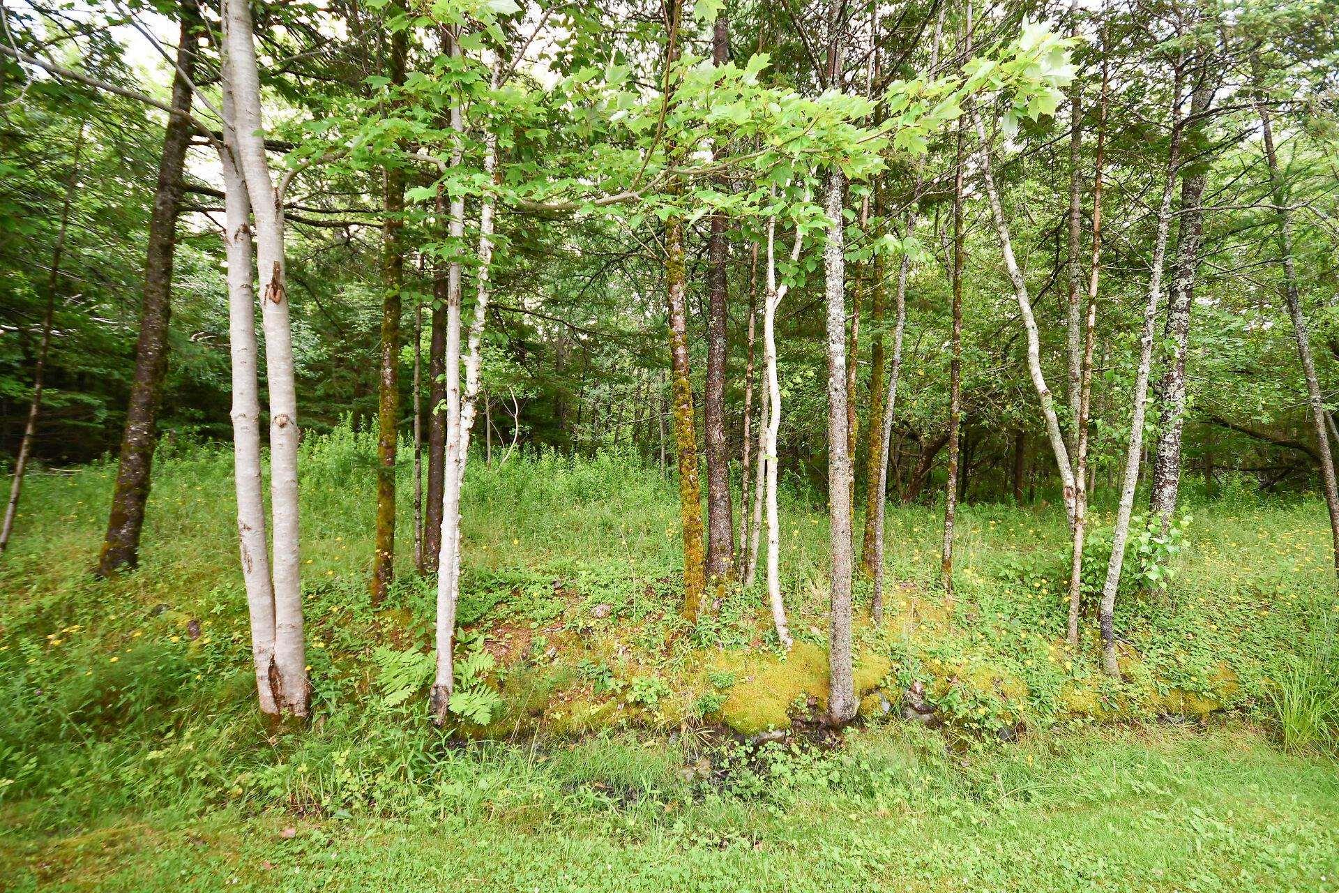 $519,900.00: 32 Sherwood Street, Colby