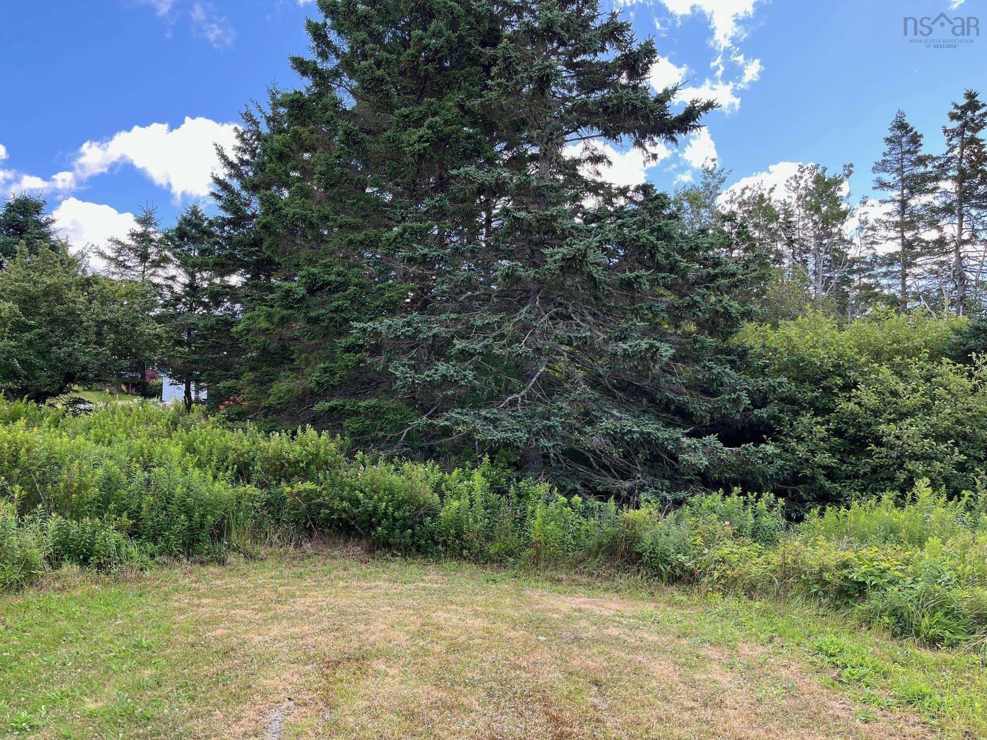 Lot 1 East Chezzetcook Road, East Chezzetcook, NS (MLS® 202518381)