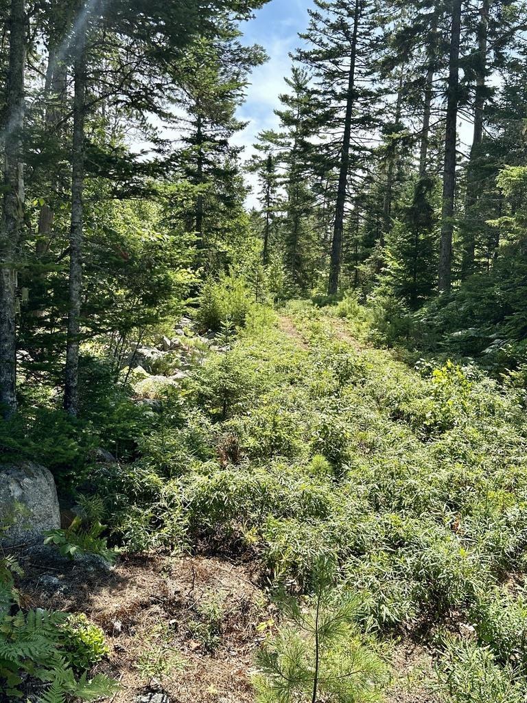 $48,000.00: Lot 21 Highway 14, Sherwood