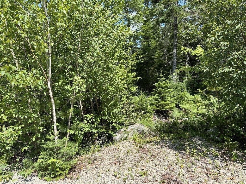 $48,000.00: Lot 21 Highway 14, Sherwood