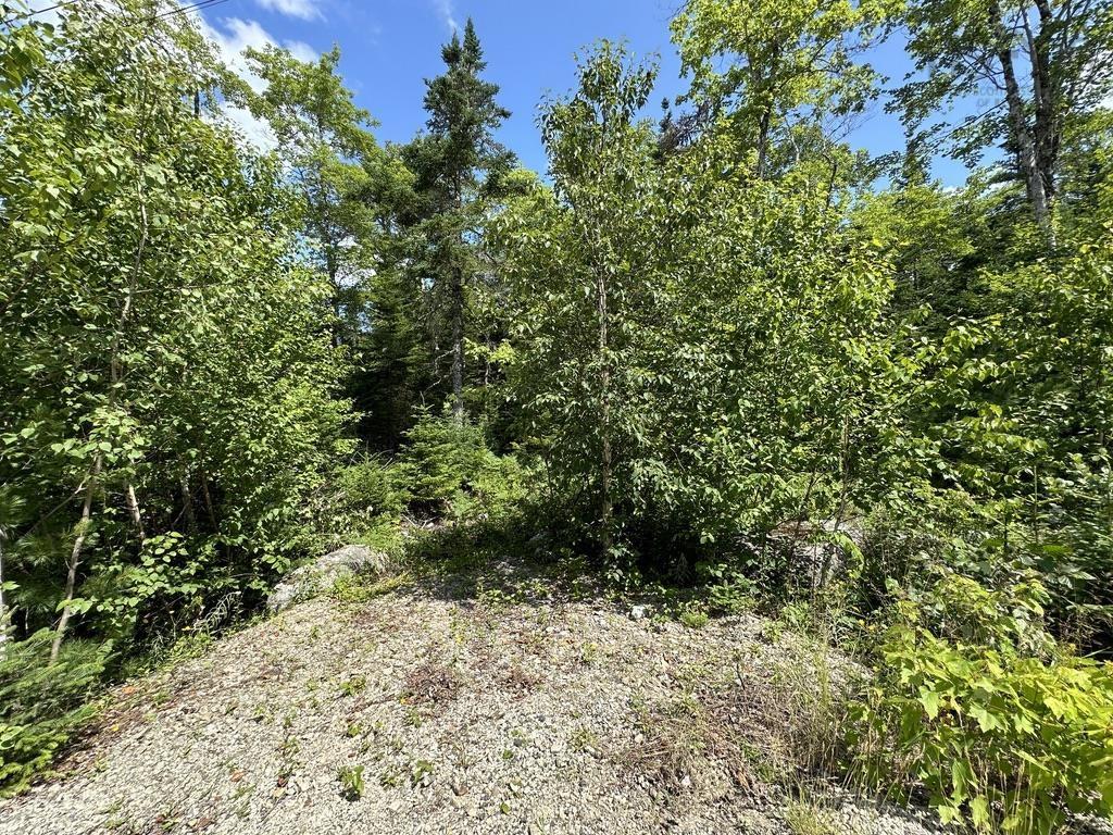 $48,000.00: Lot 21 Highway 14, Sherwood