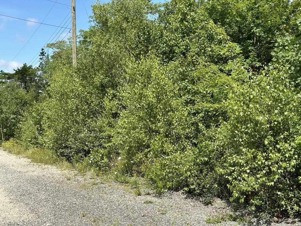 $48,000.00: Lot 21 Highway 14, Sherwood