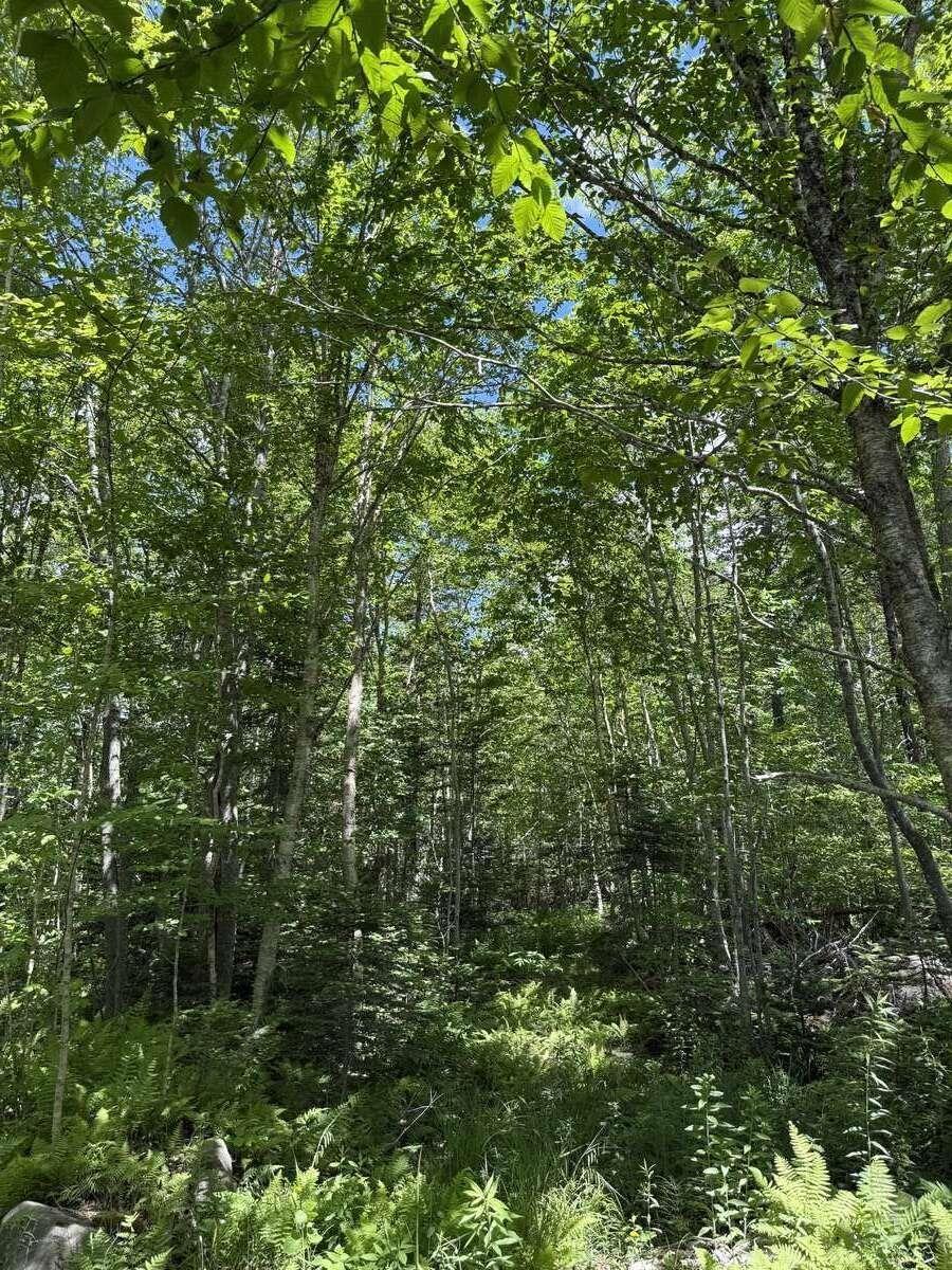 $199,000.00: Lot 89A Lakecrest Drive, Mount Uniacke