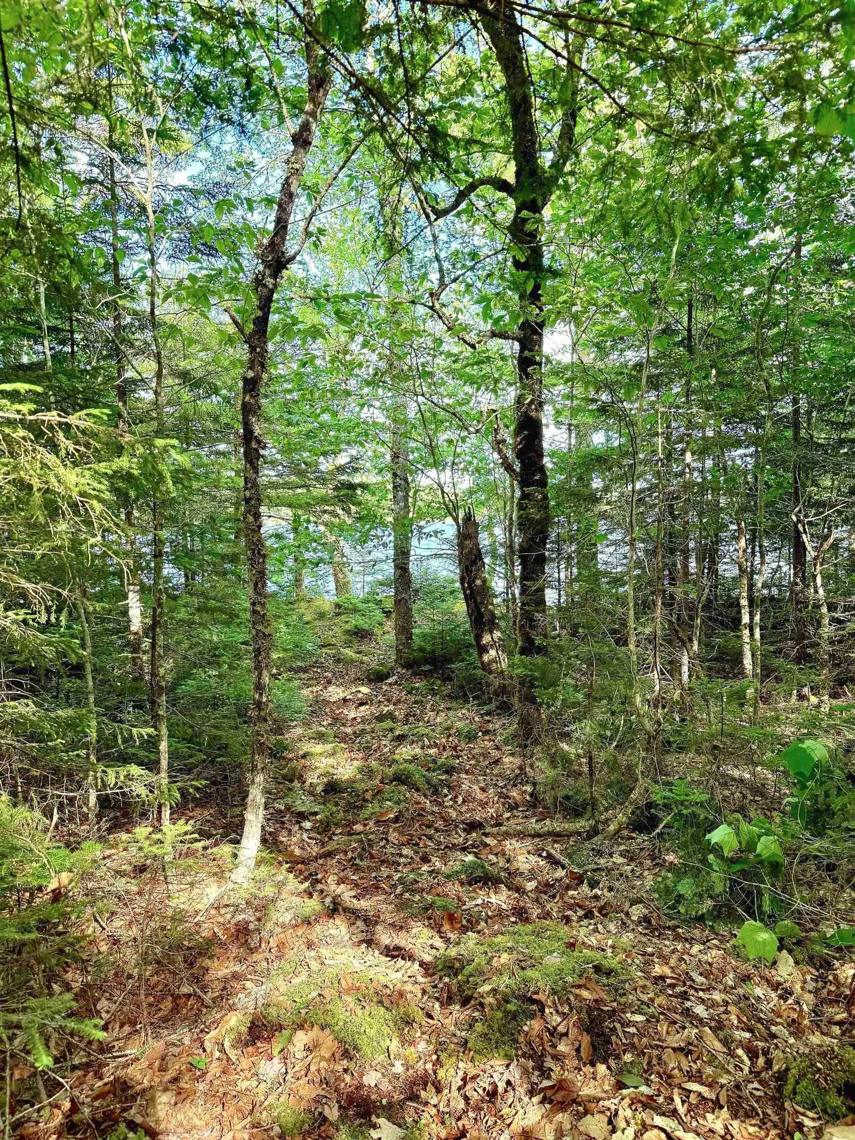 $199,500.00: Lot 40 Cliff Road, New Russell