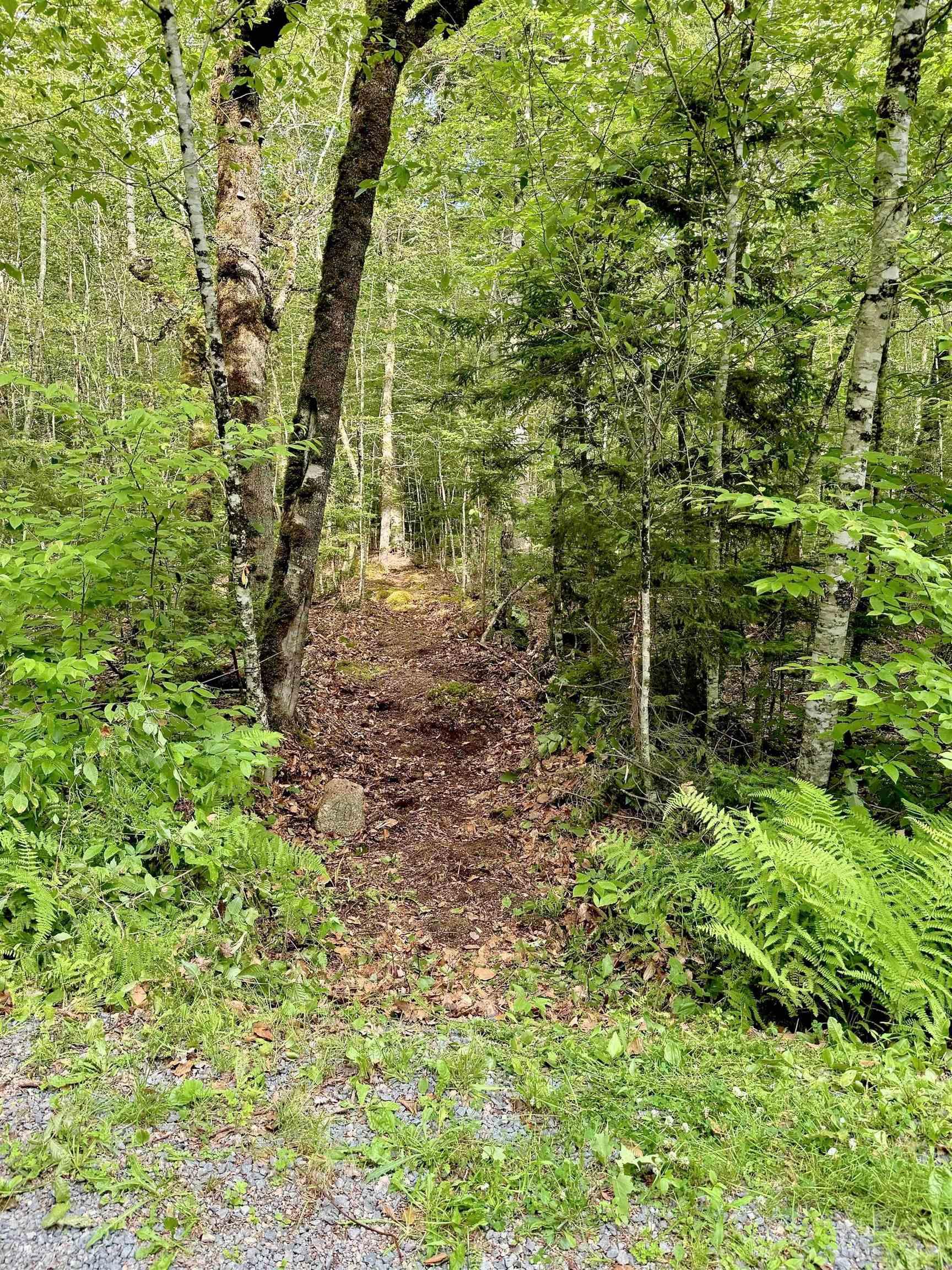 $199,500.00: Lot 40 Cliff Road, New Russell