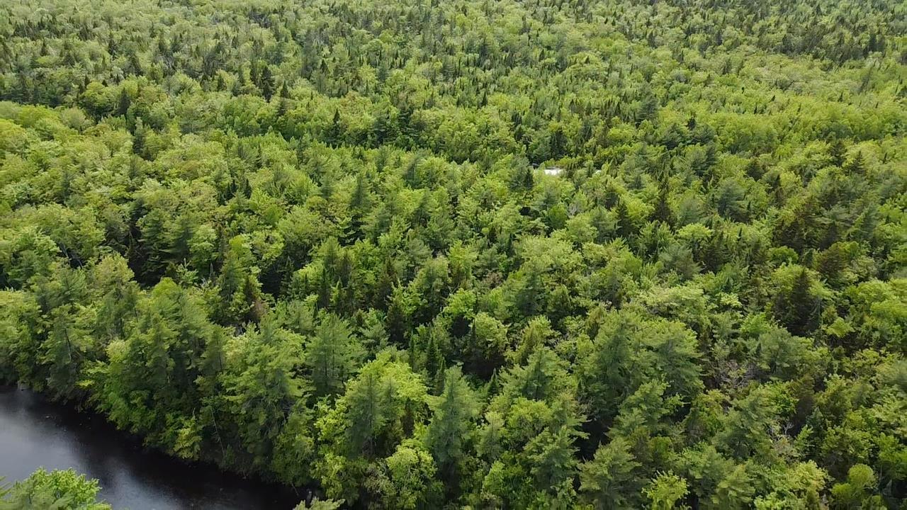 Lot Sunnylea Road, Wellington, NS (MLS 202518484)