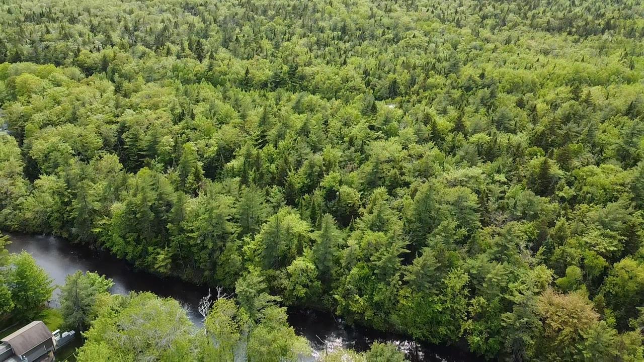 Lot Sunnylea Road, Wellington, NS (MLS 202518484)