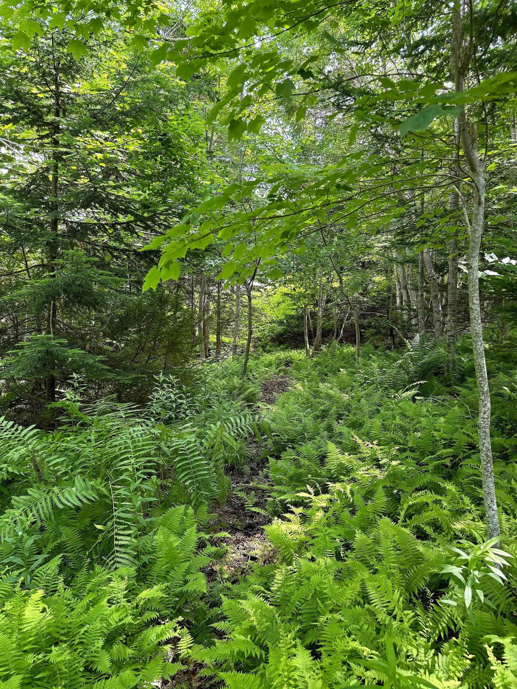 $69,950.00: Nature Dream Boulevard, Roberta