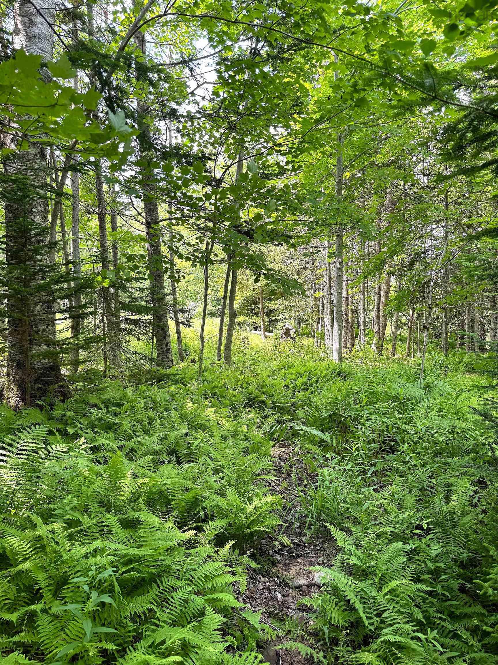 $69,950.00: Nature Dream Boulevard, Roberta