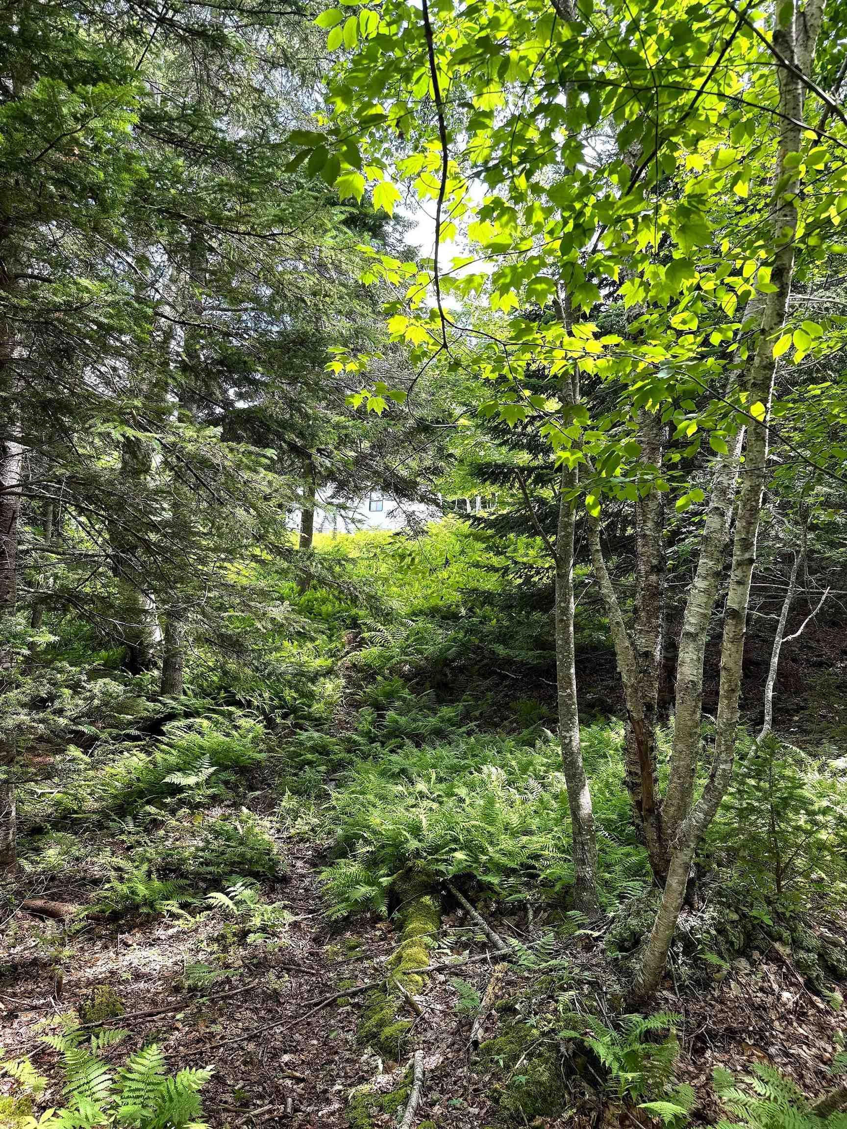 $69,950.00: Nature Dream Boulevard, Roberta