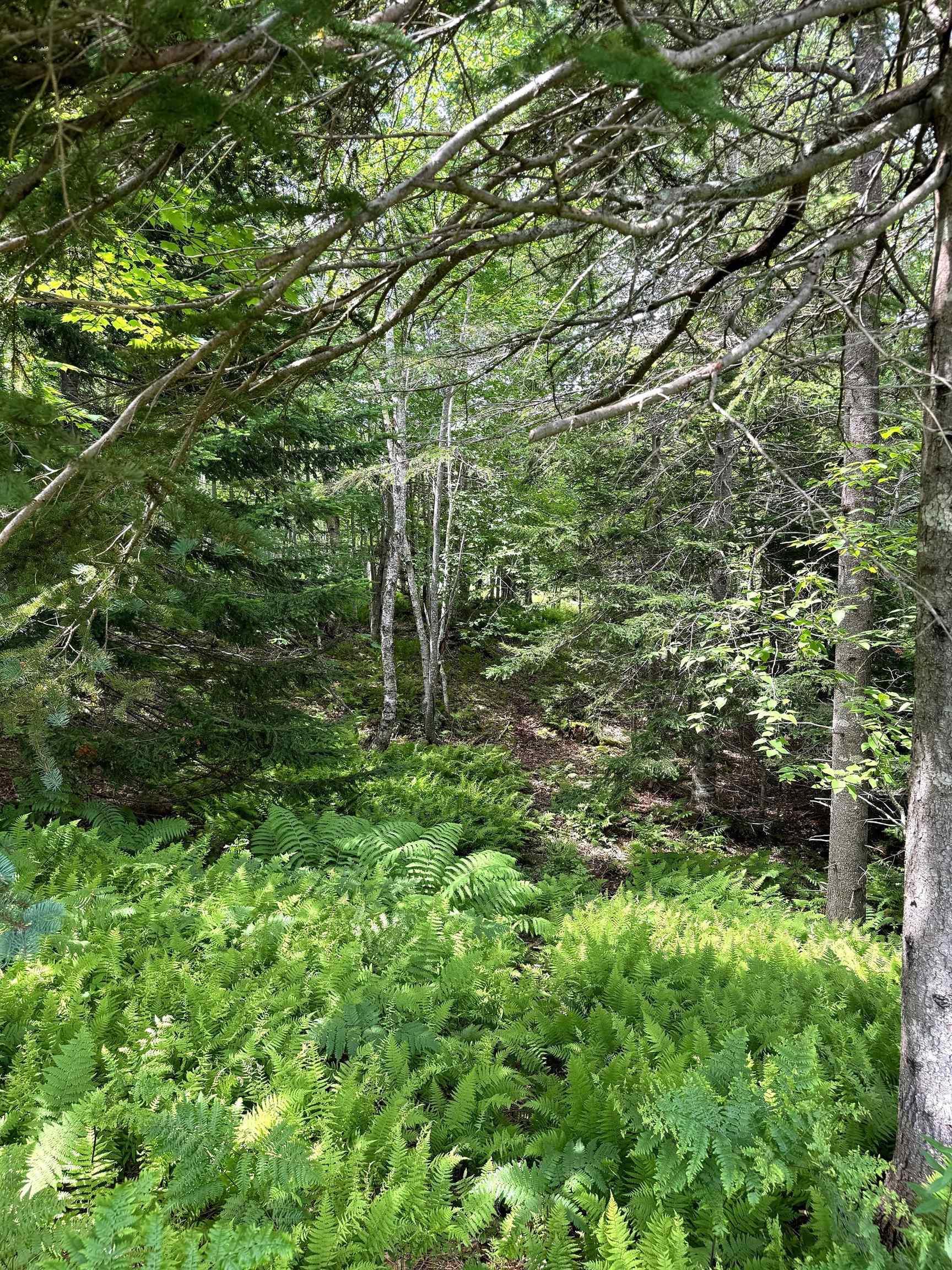 $69,950.00: Nature Dream Boulevard, Roberta