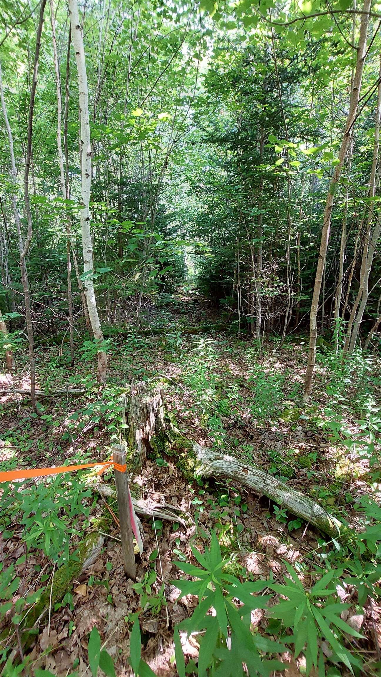 $29,000.00: Lot 5 Tranquil Shore Rd, Marshes (West Bay)