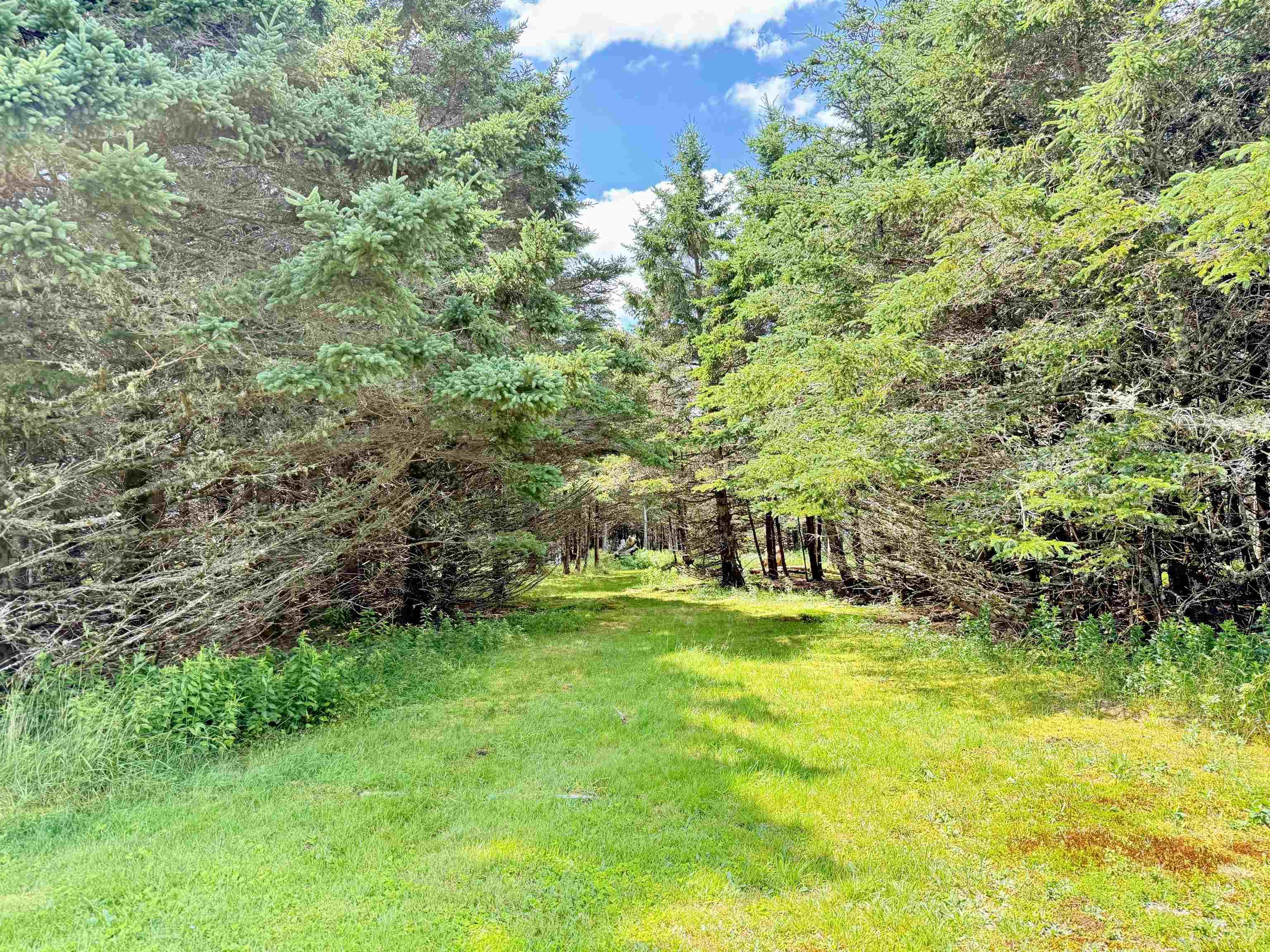 $399,000.00: 610 Little Liscomb Road, Little Liscomb