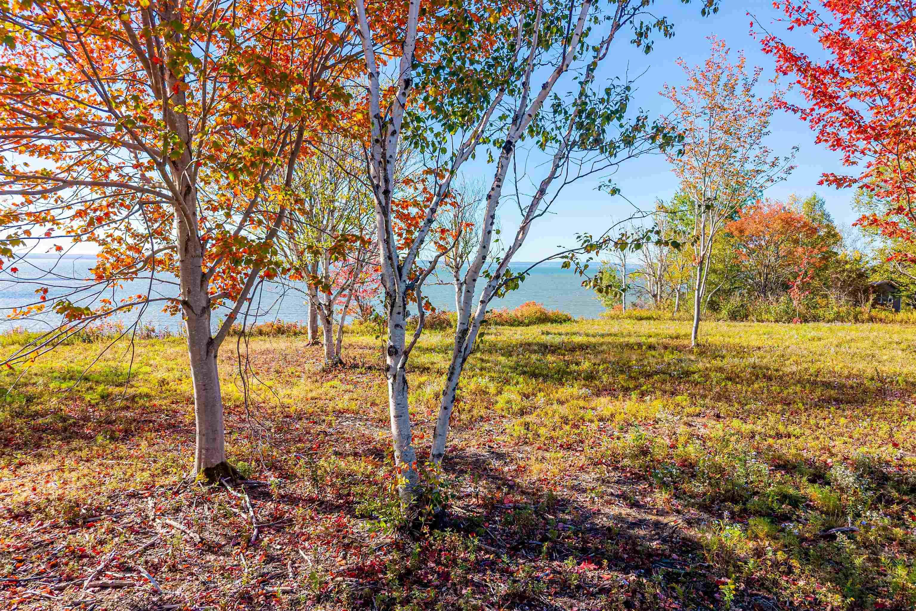 $79,900.00: Lot 4 Highway 2, Upper Economy