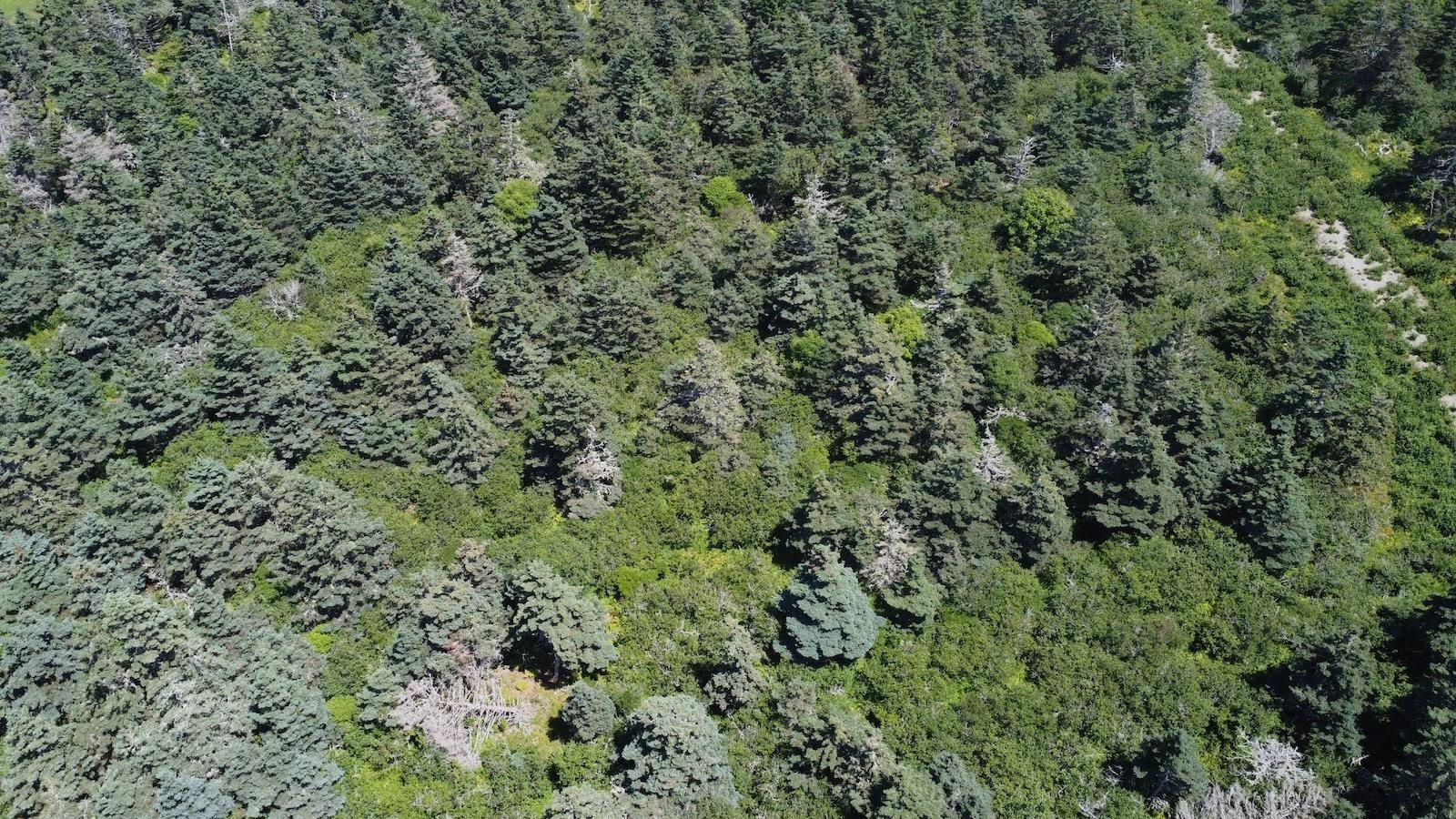 $279,900.00: Lot 4 Main Shore Road, Port Maitland