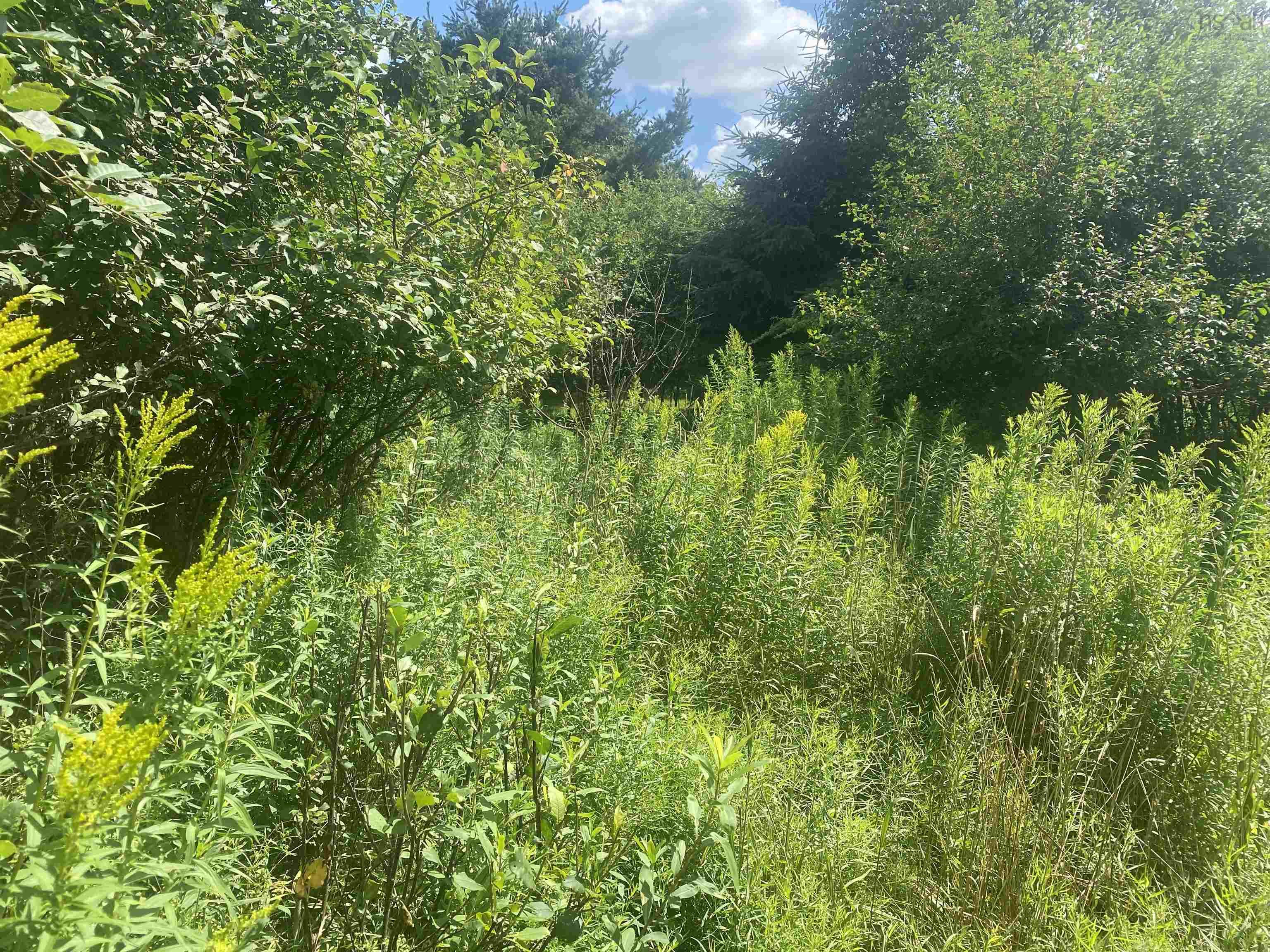 $68,000.00: Lot 24 OLD COURT HOUSE BRANCH Road, Murray Siding