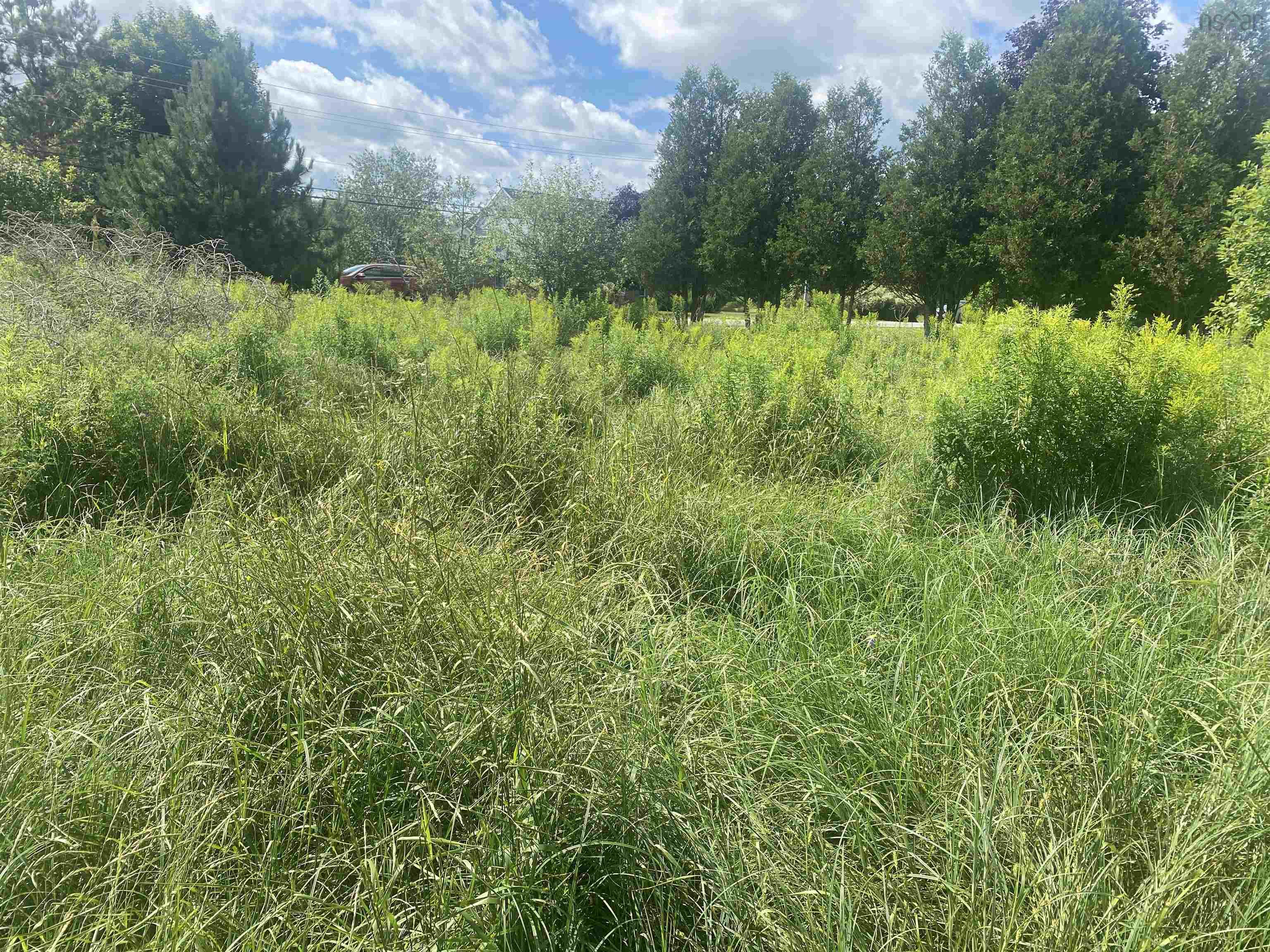 $68,000.00: Lot 24 OLD COURT HOUSE BRANCH Road, Murray Siding