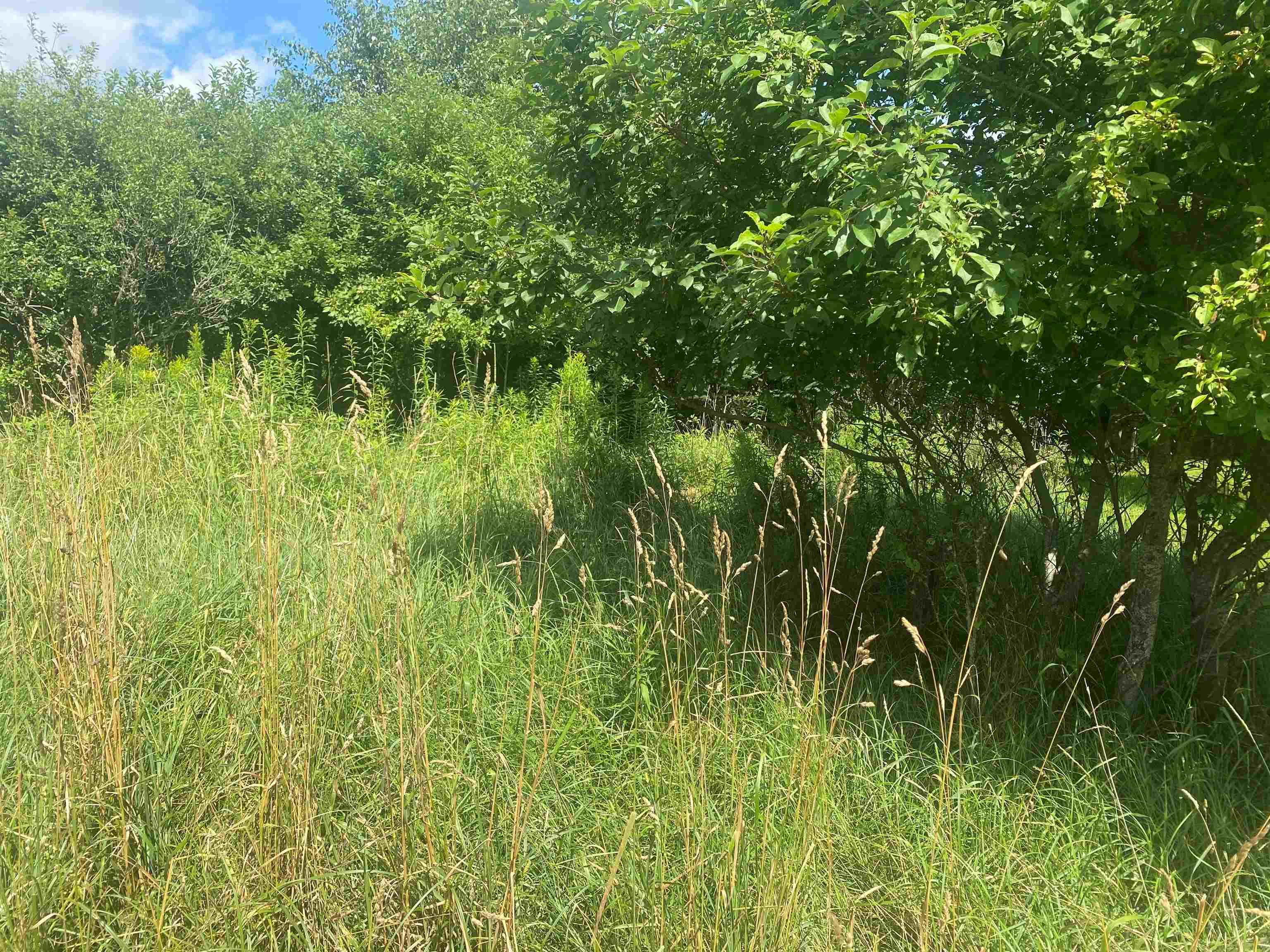 $68,000.00: Lot 24 OLD COURT HOUSE BRANCH Road, Murray Siding