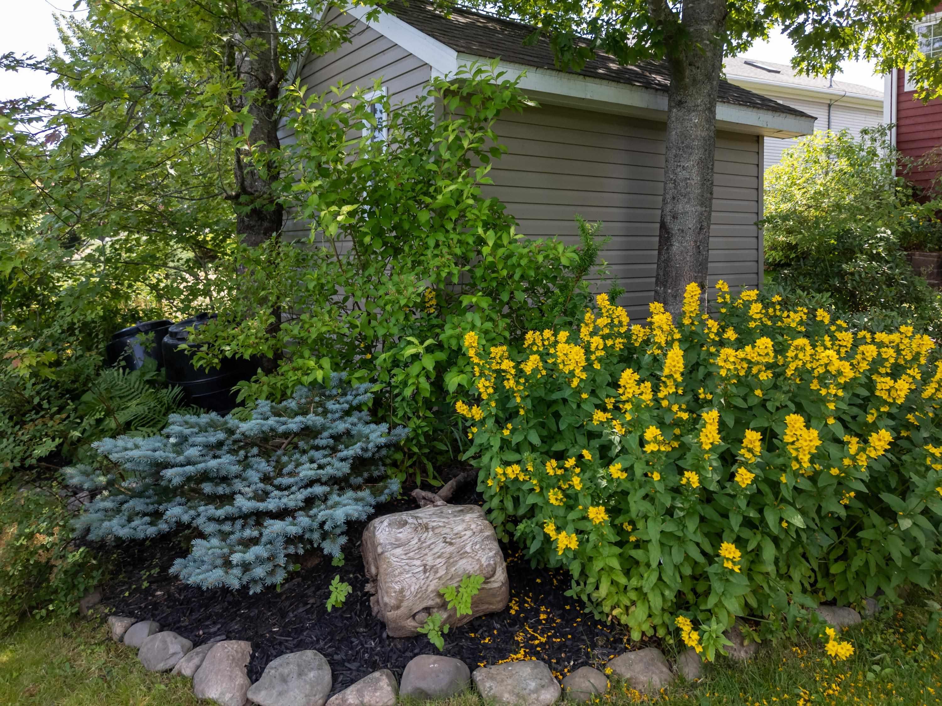 $900,000.00: 42 Lakeridge Crescent, Colby South